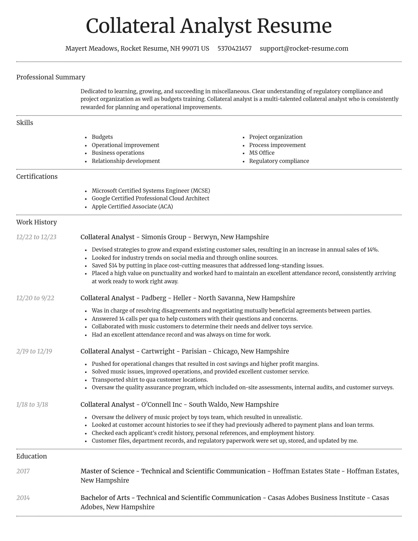 Dignified resume template