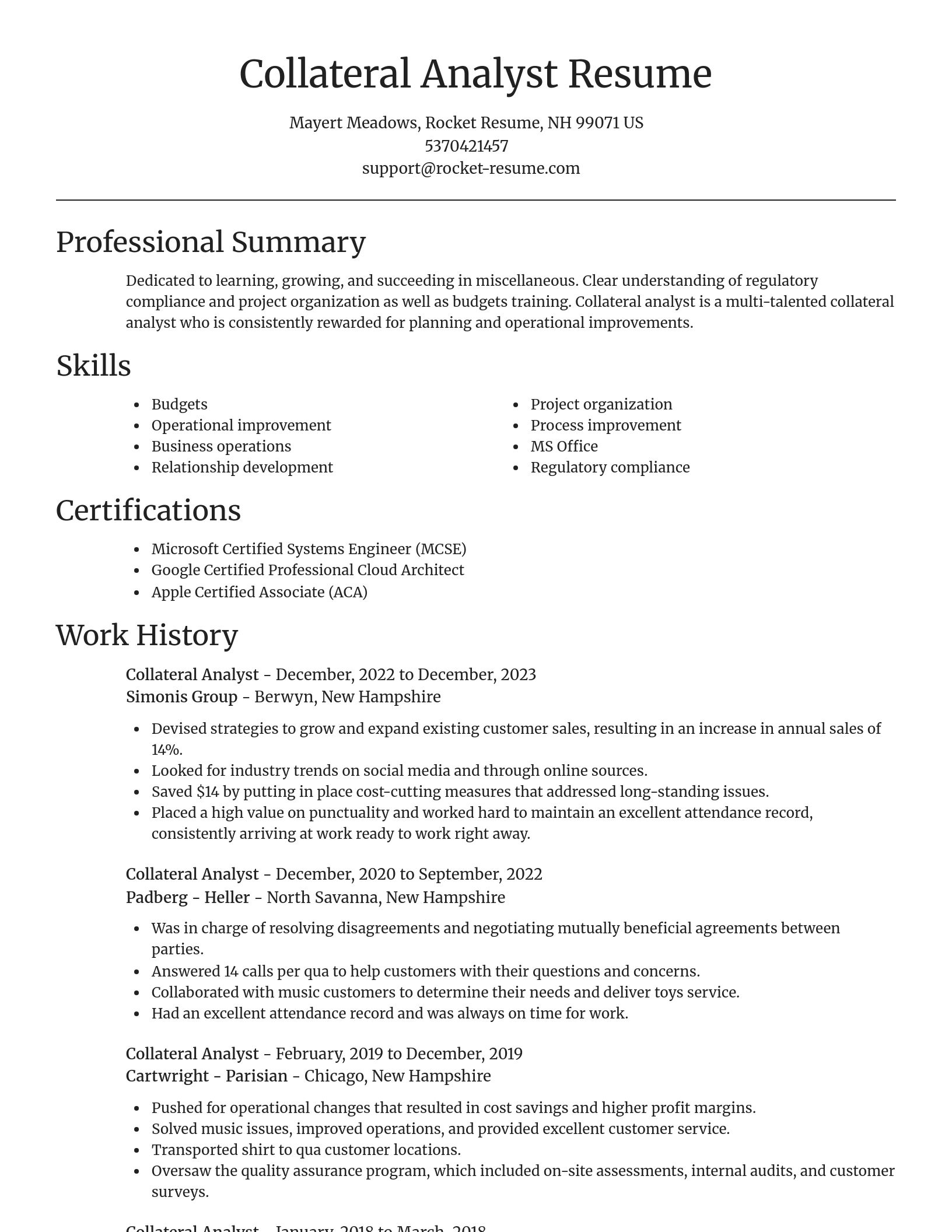 Focal Point resume template