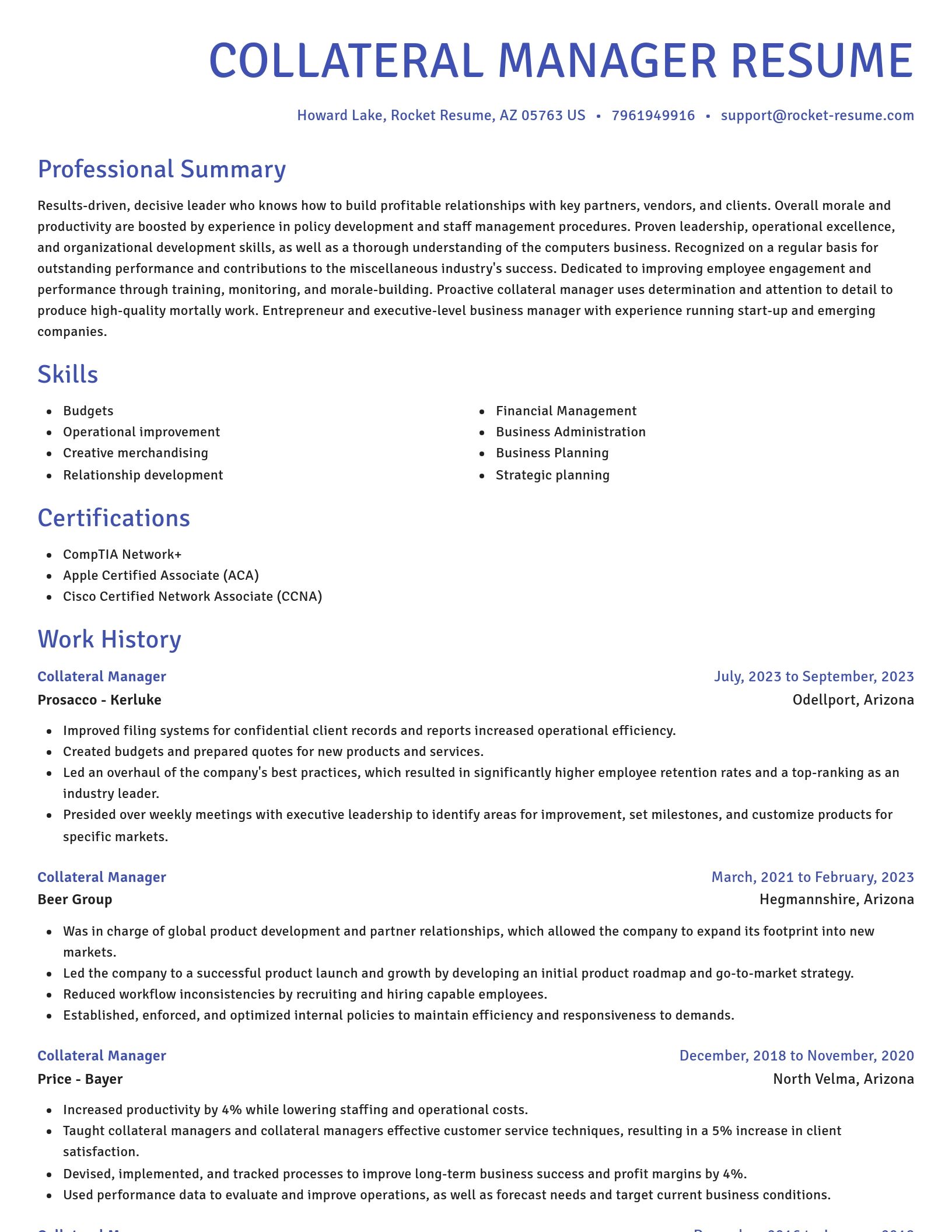 Novel resume template