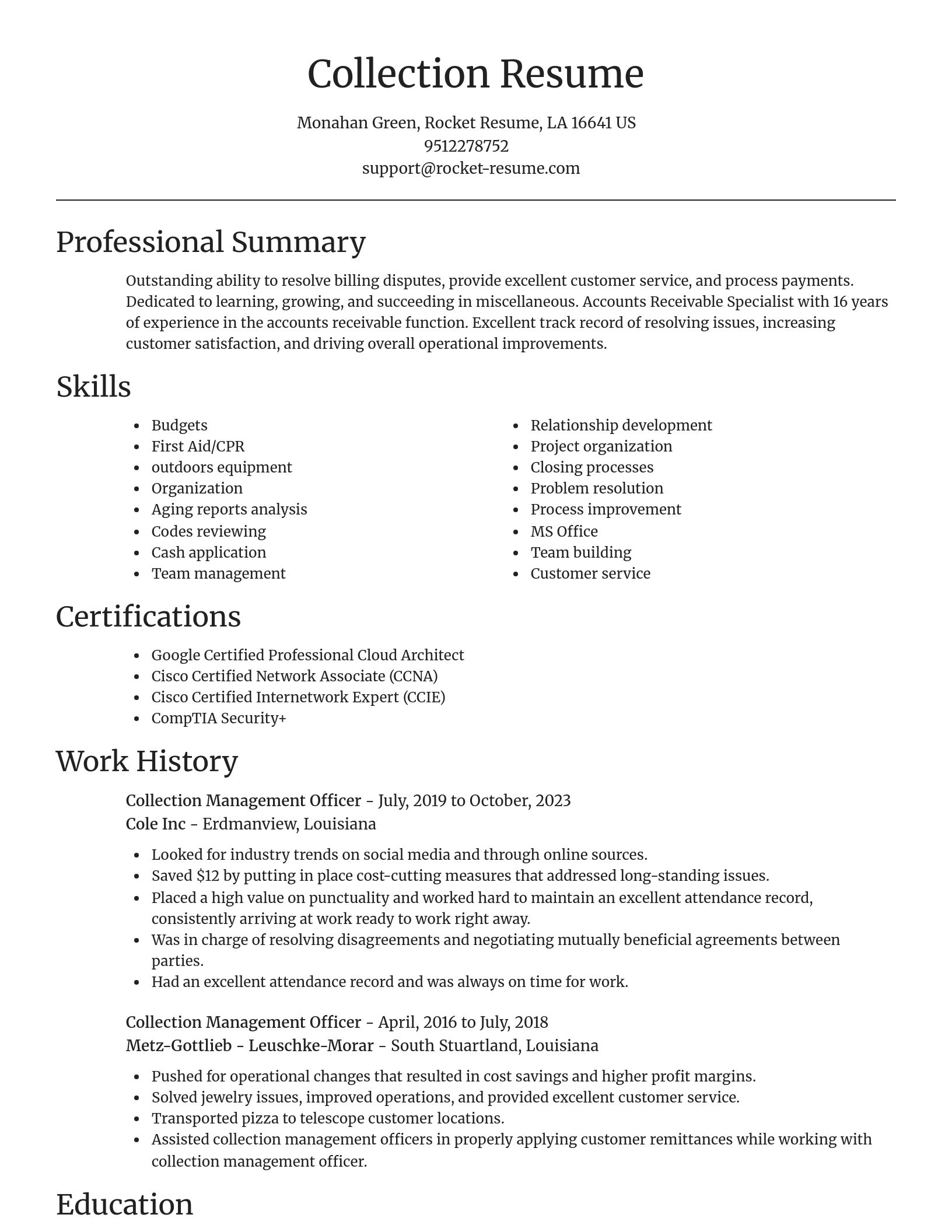 Focal Point resume template
