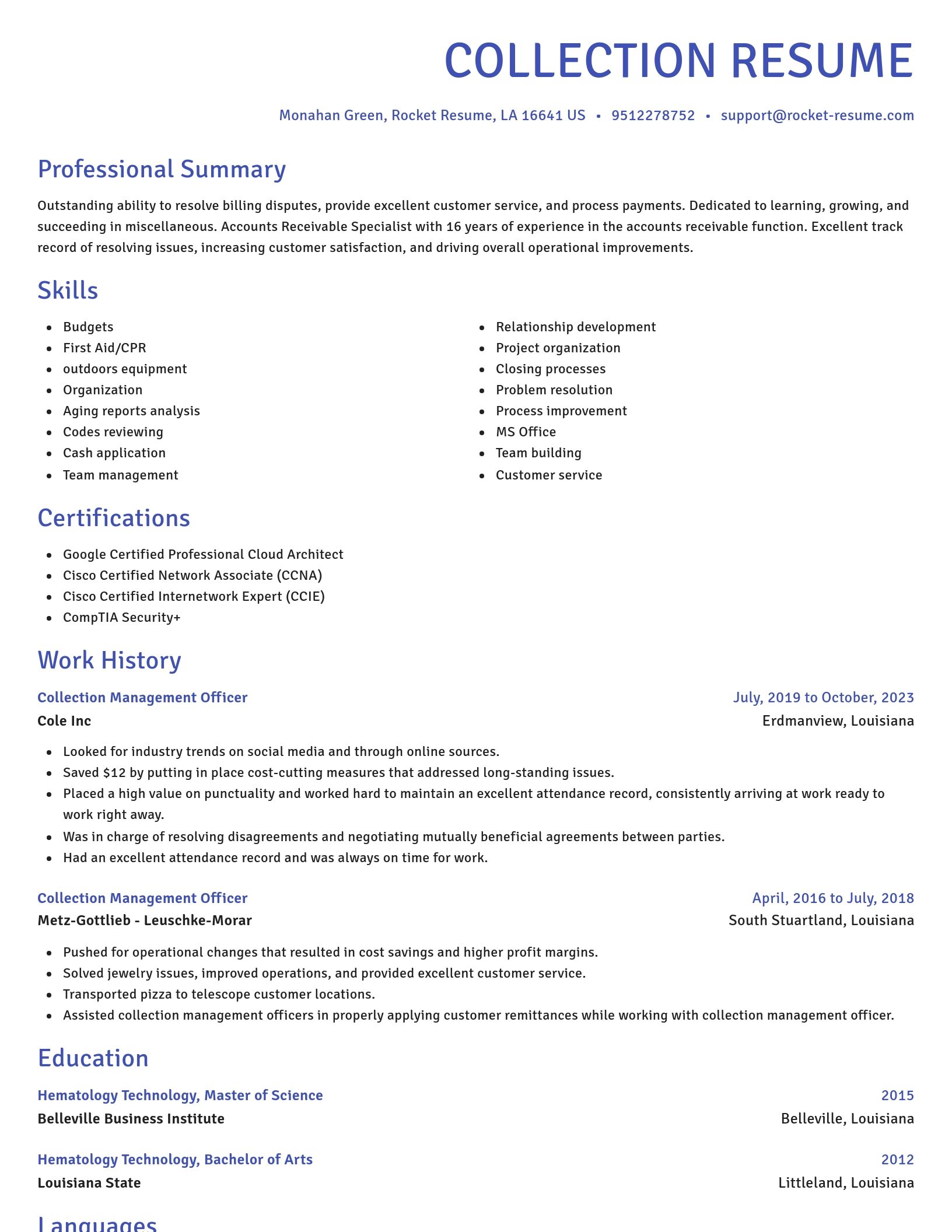 Novel resume template