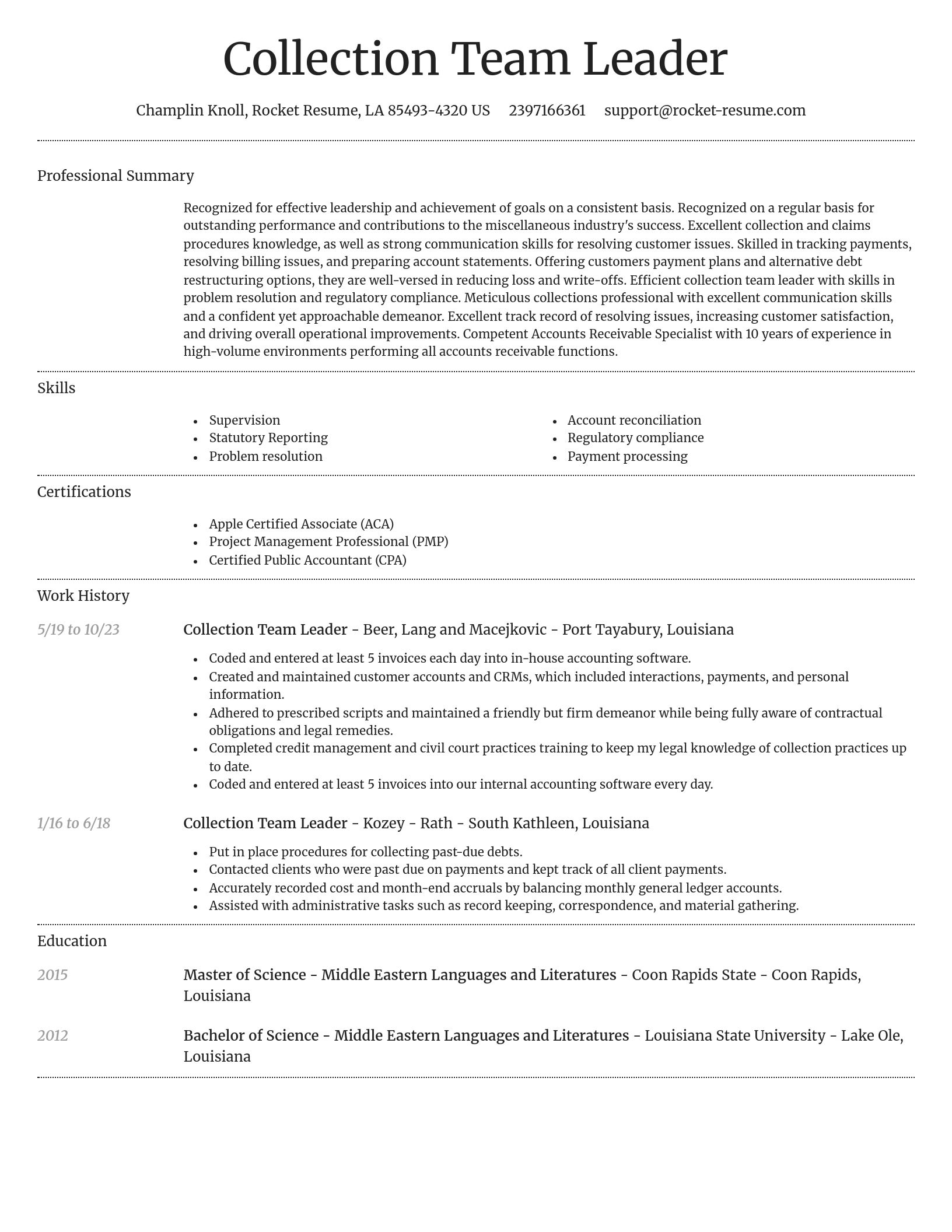 Dignified resume template