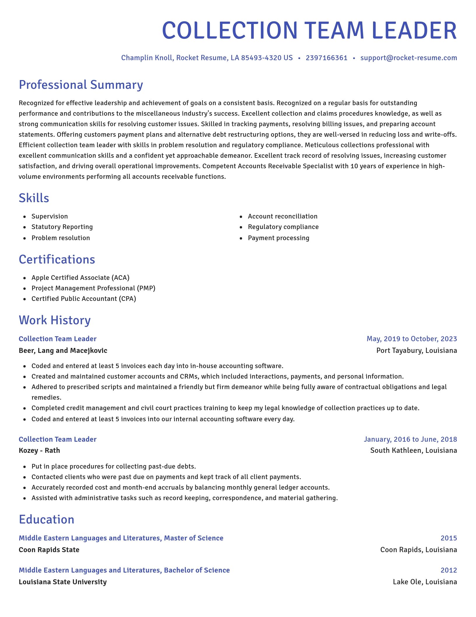Novel resume template