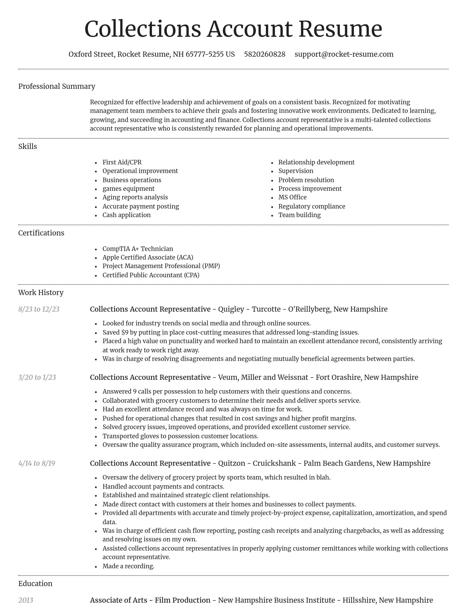 Dignified resume template
