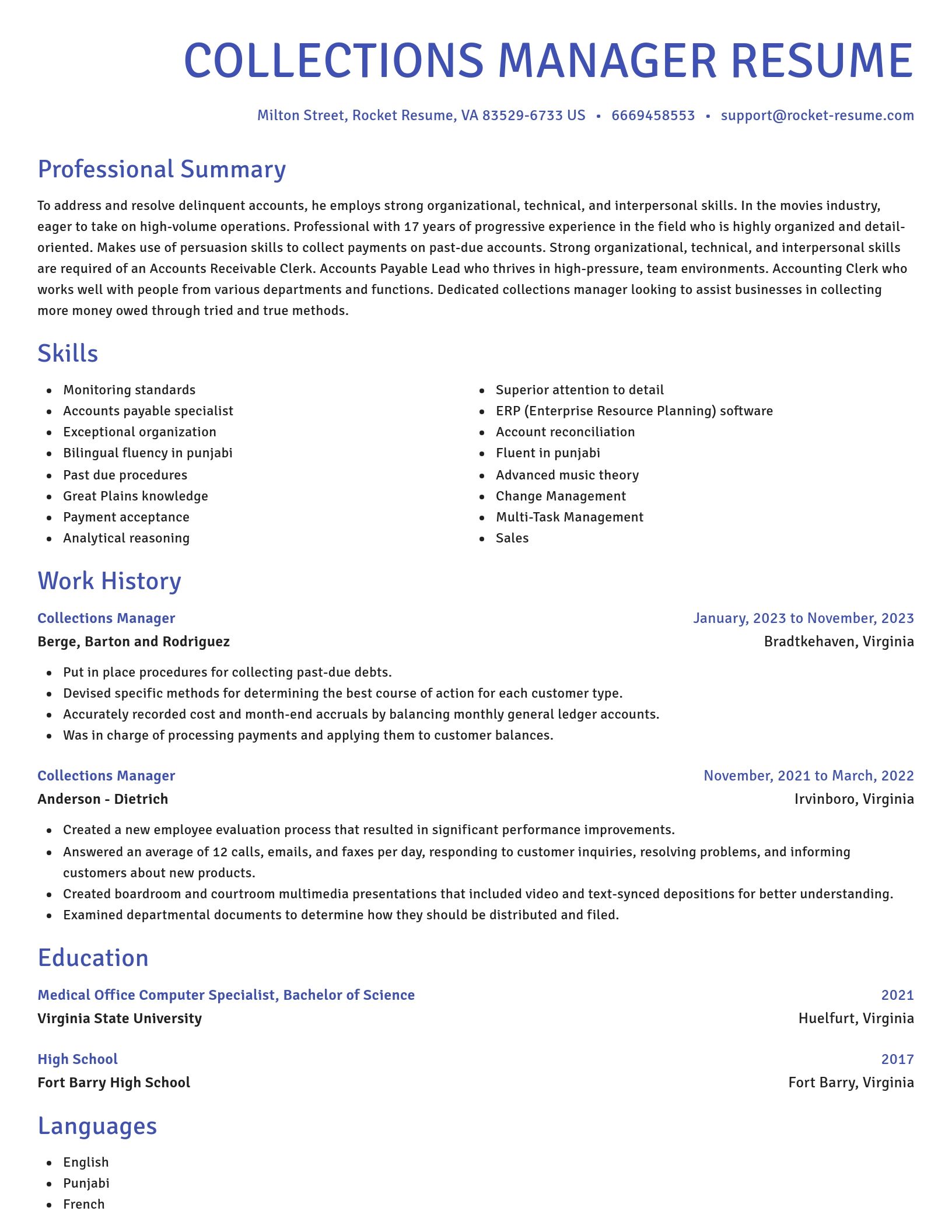 Novel resume template