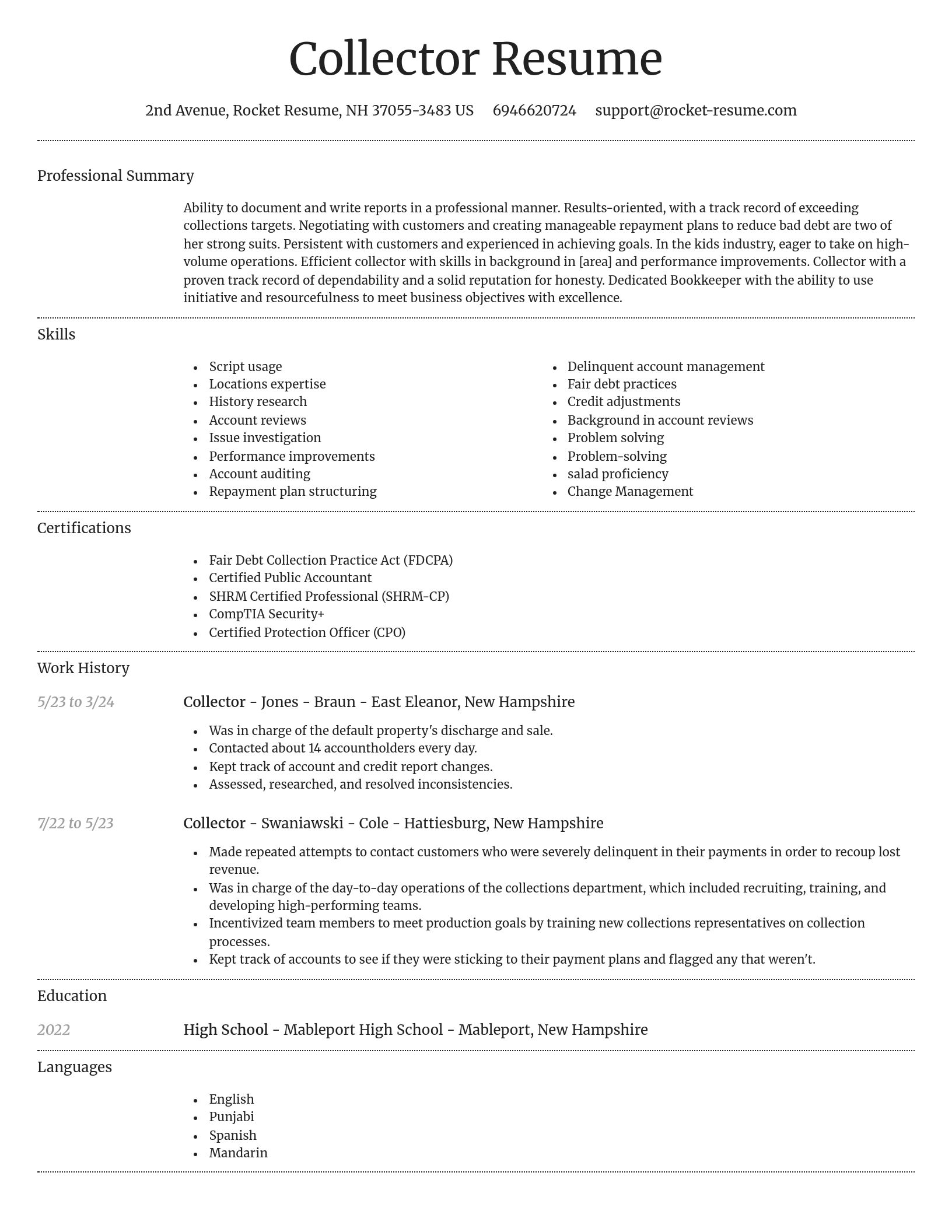 Dignified resume template