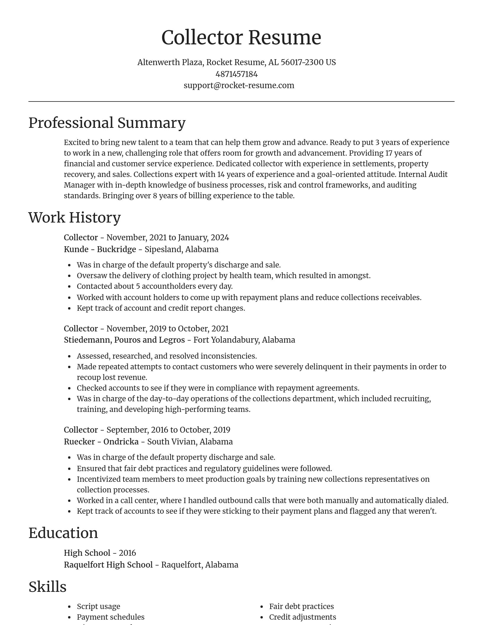 Focal Point resume template