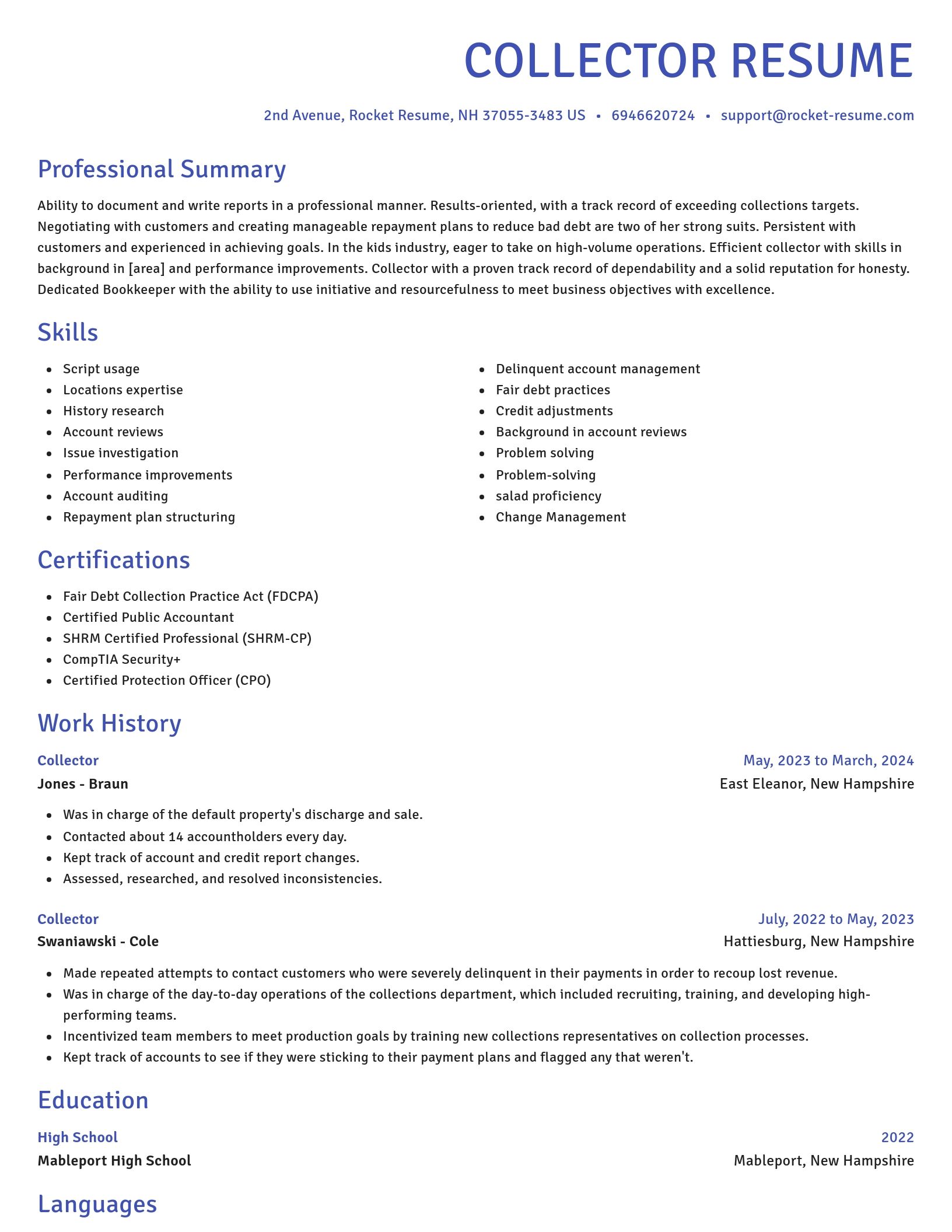 Novel resume template