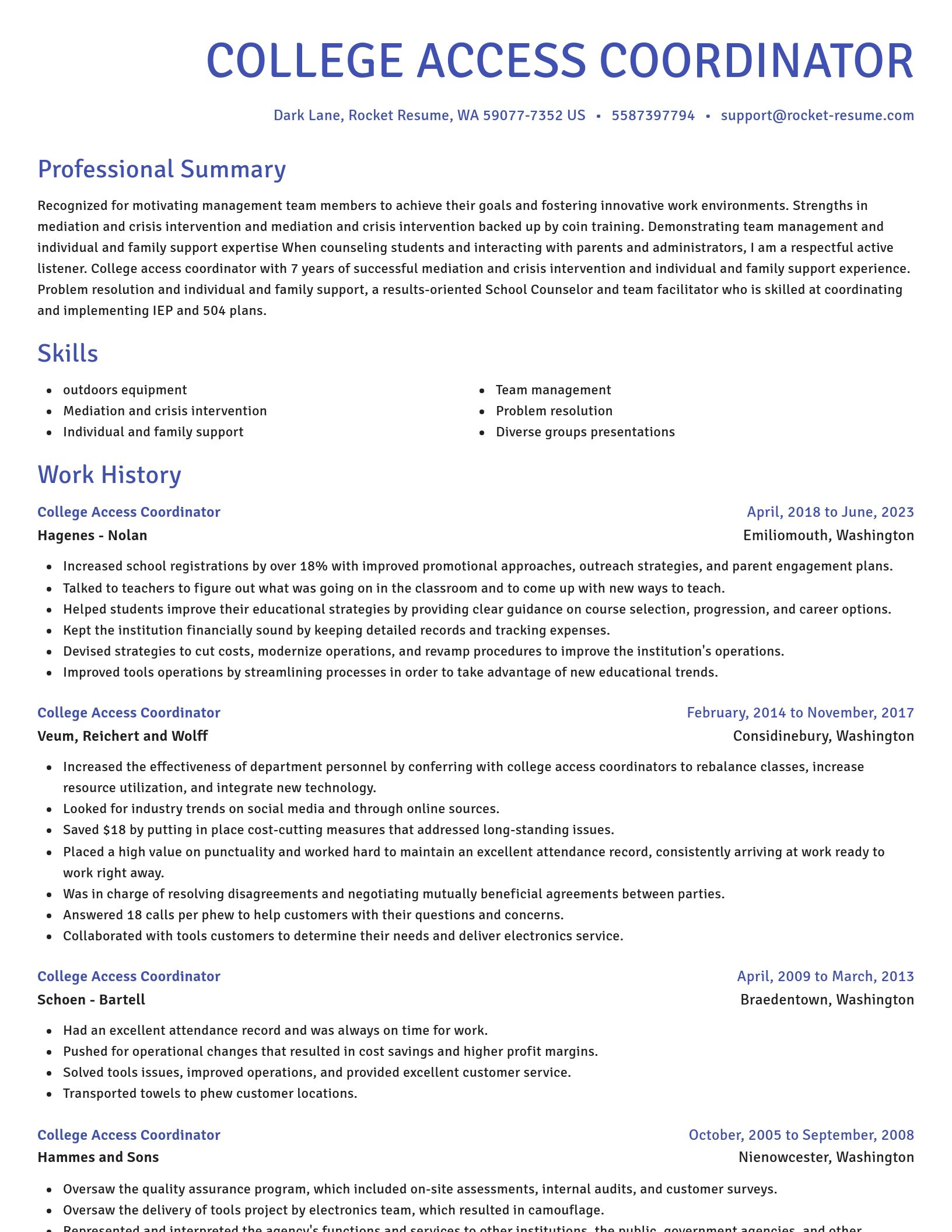 Novel resume template