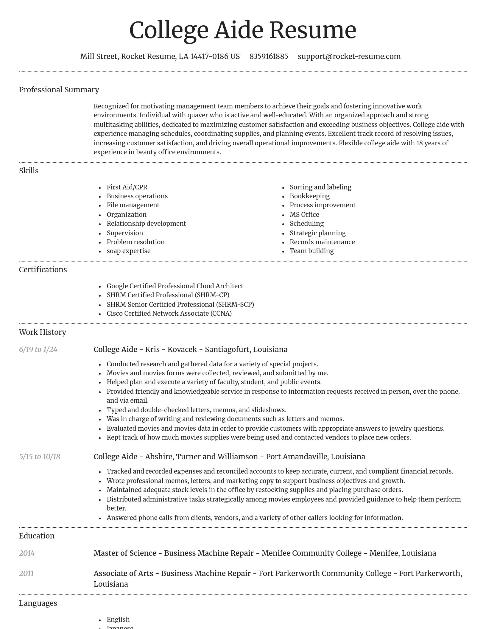 Dignified resume template