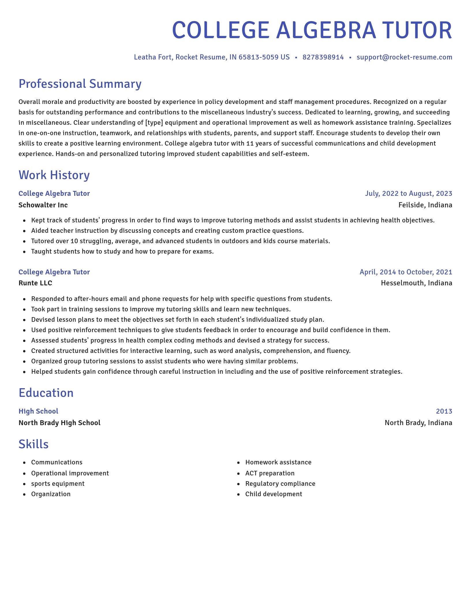 Novel resume template