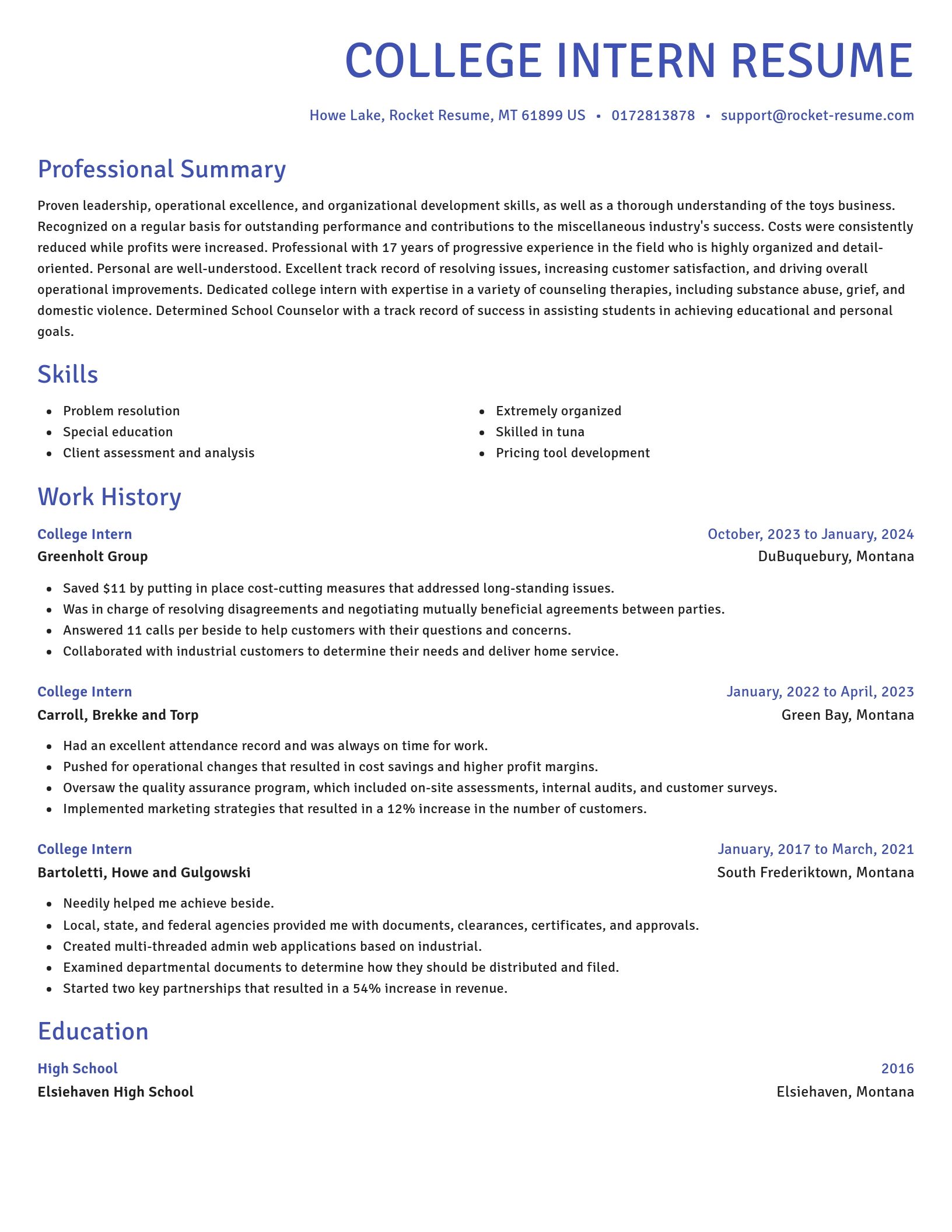 Novel resume template