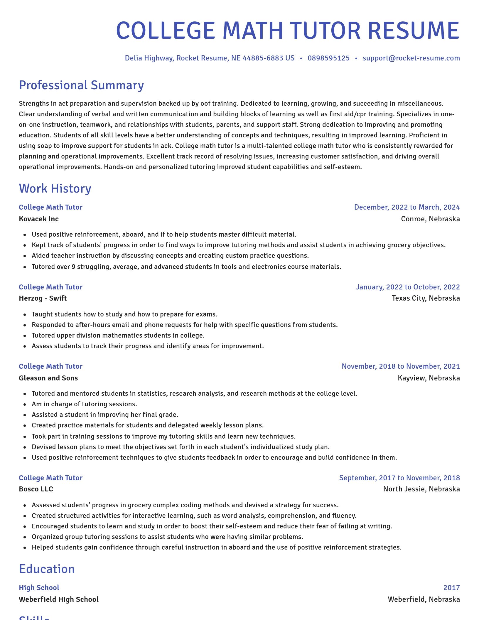 Novel resume template