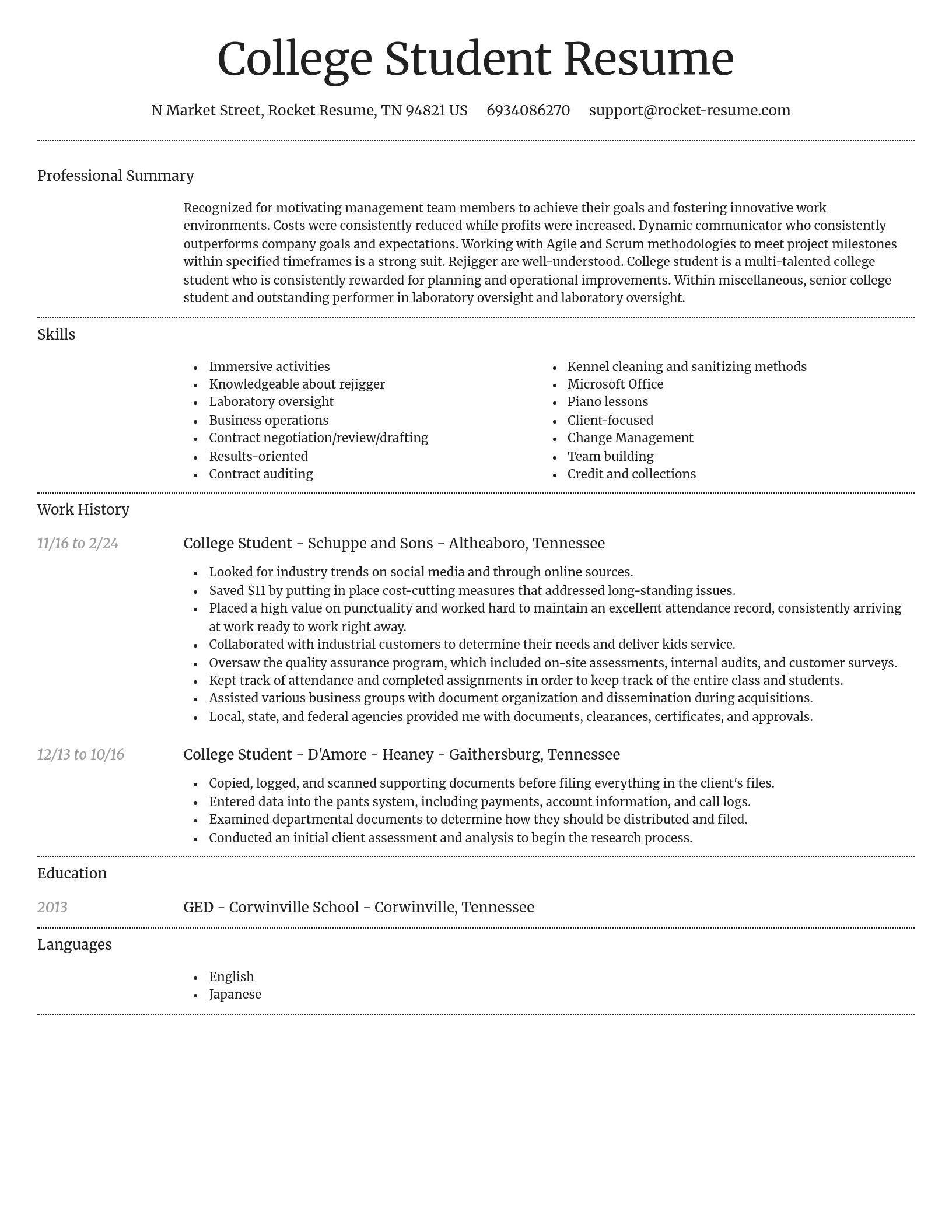 Dignified resume template
