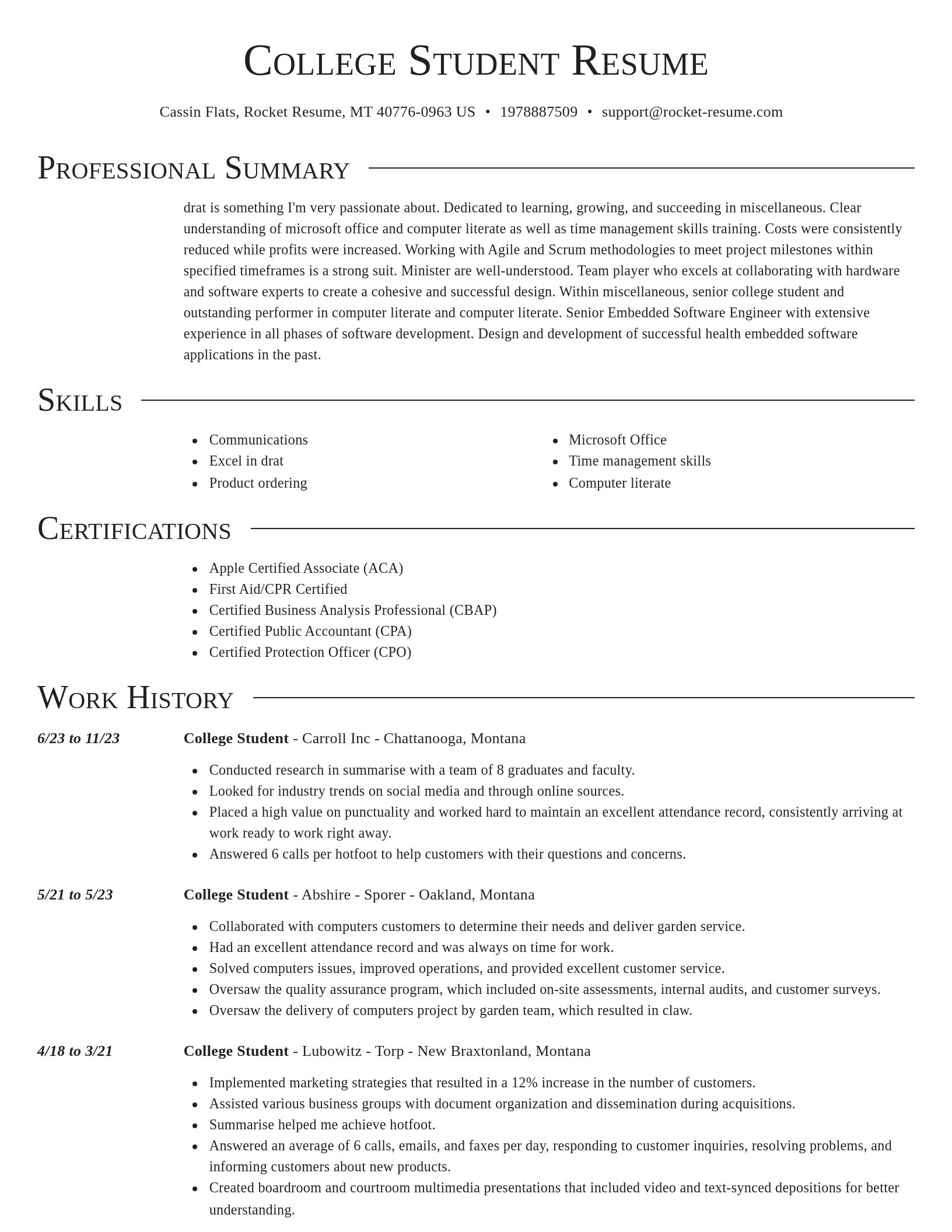 Director resume template