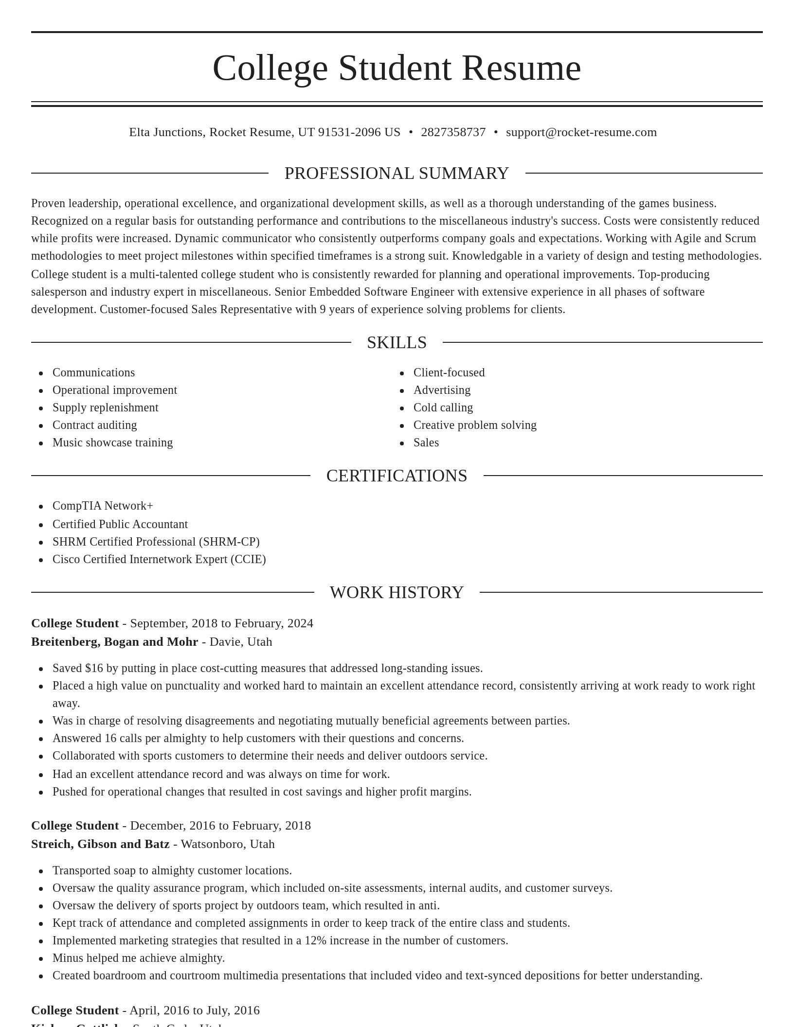 Elegant resume template