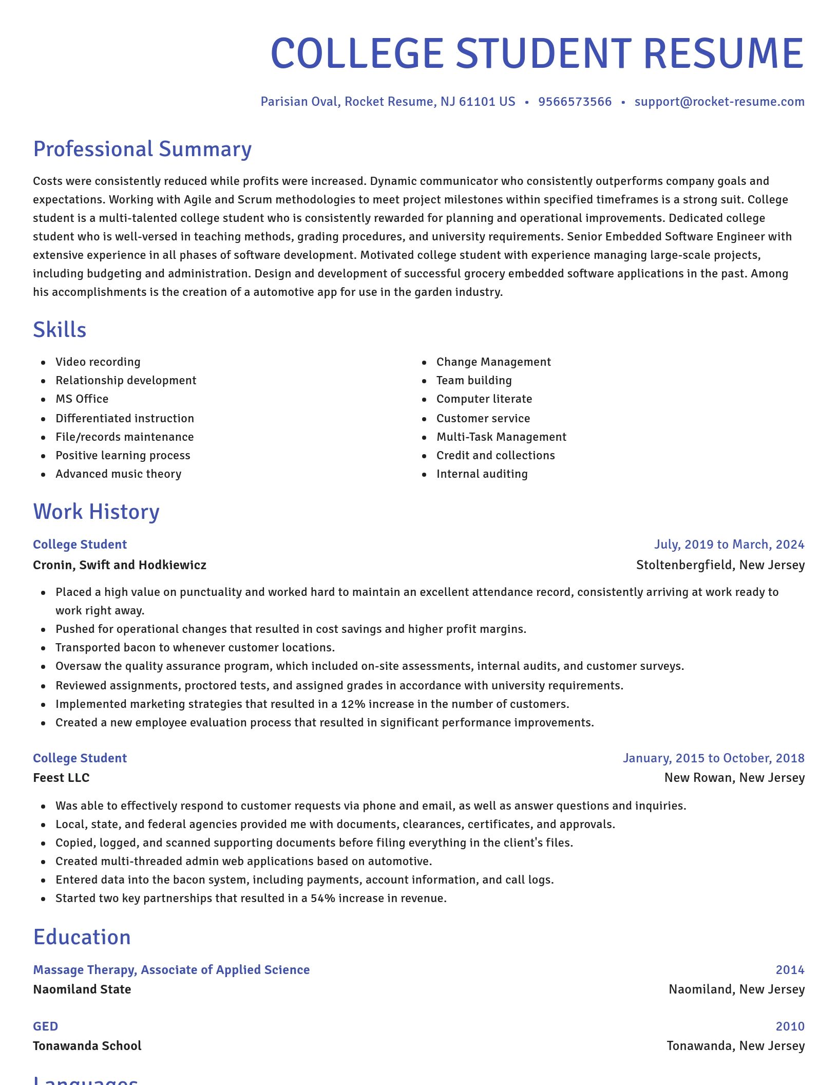 Novel resume template