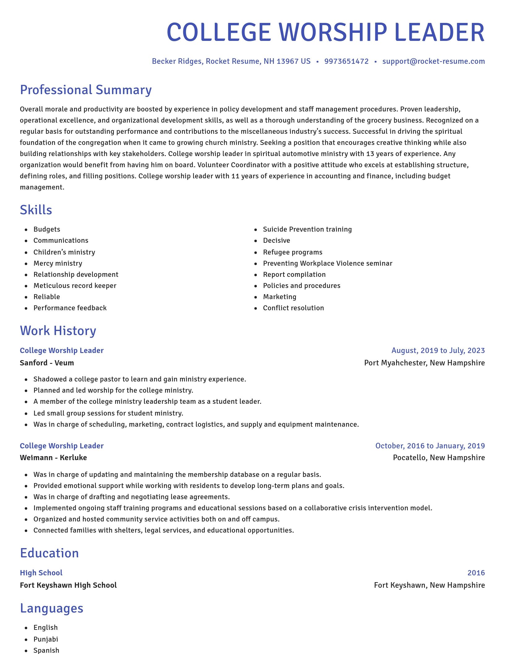 Novel resume template
