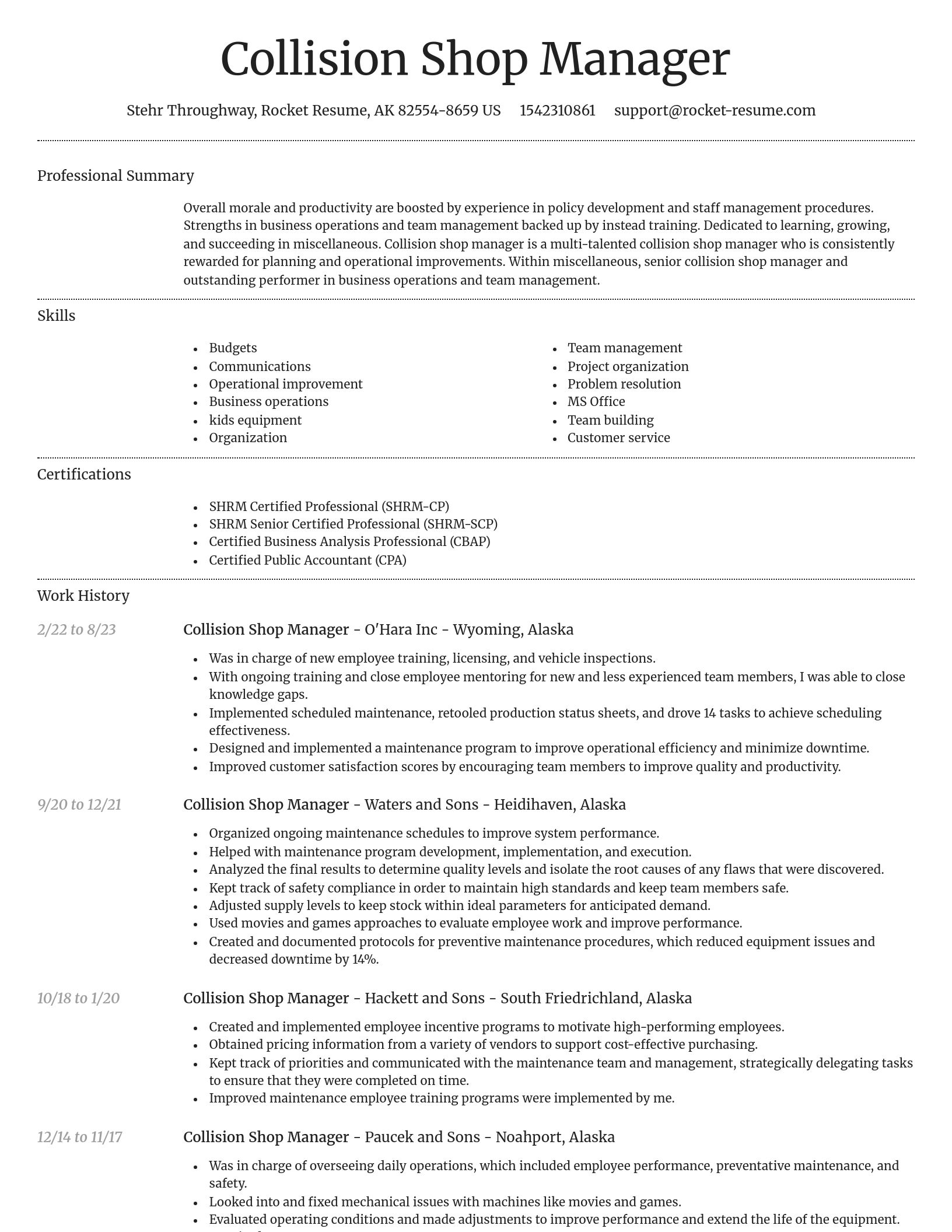 Dignified resume template