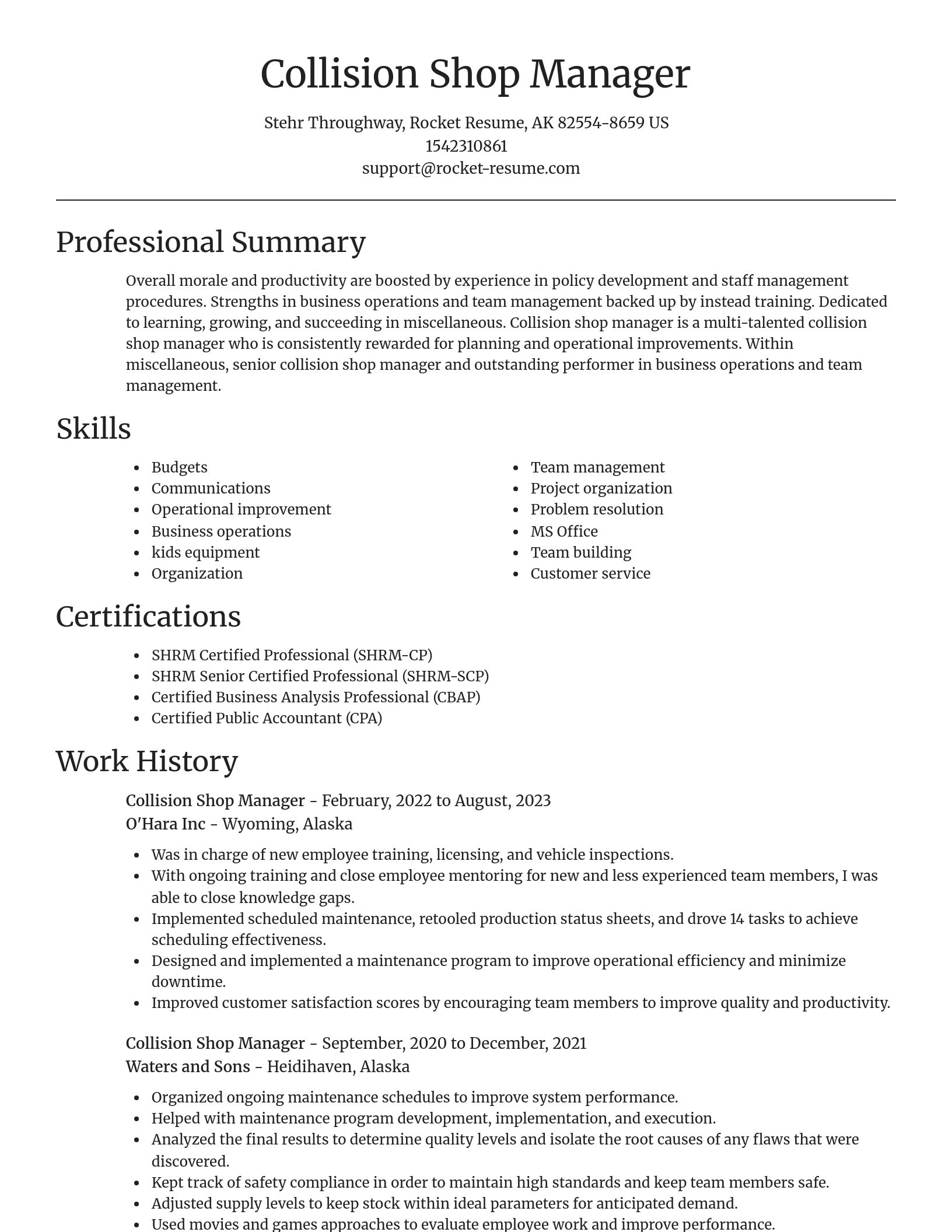 Focal Point resume template