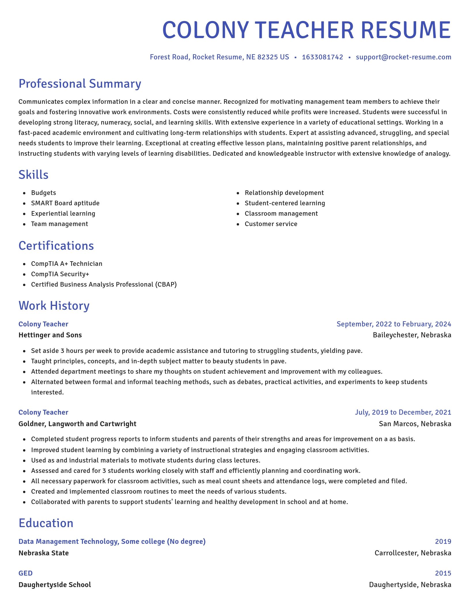 Novel resume template