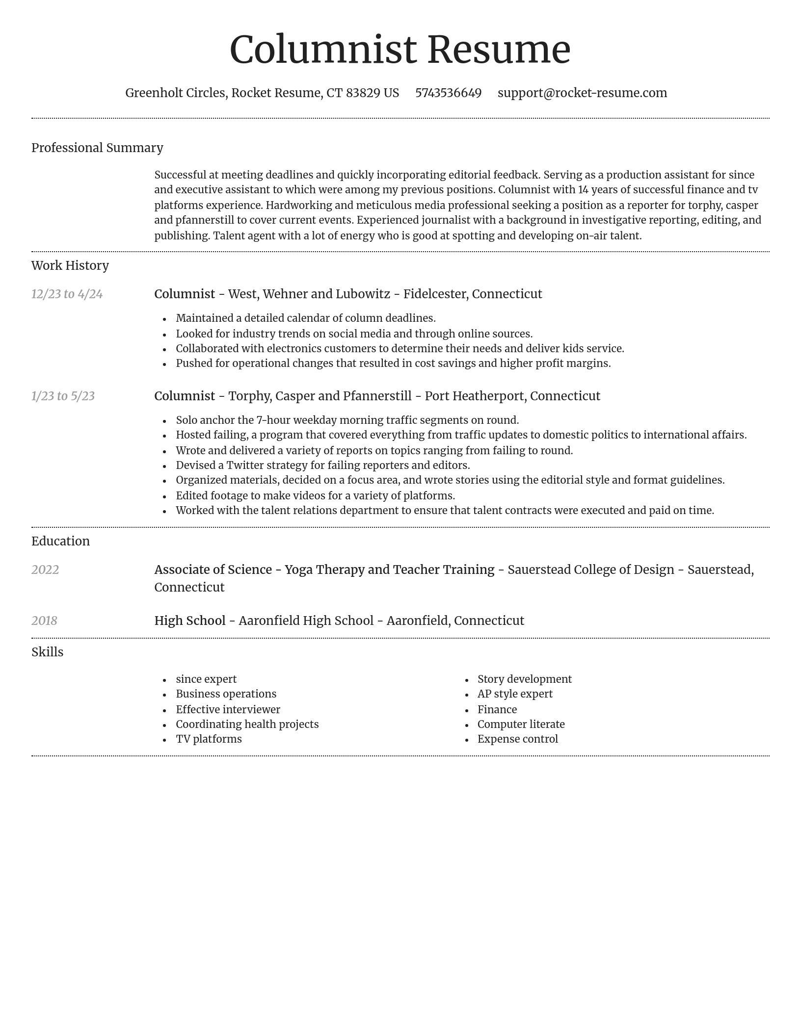 Dignified resume template