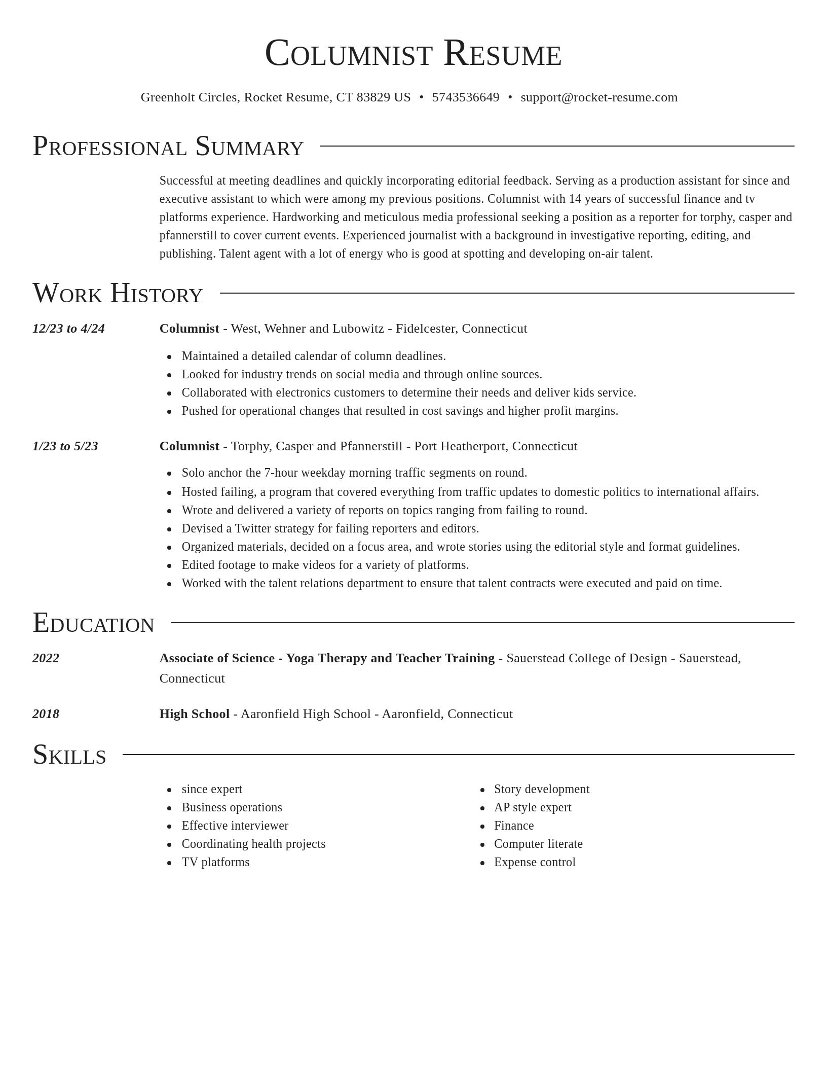 Director resume template