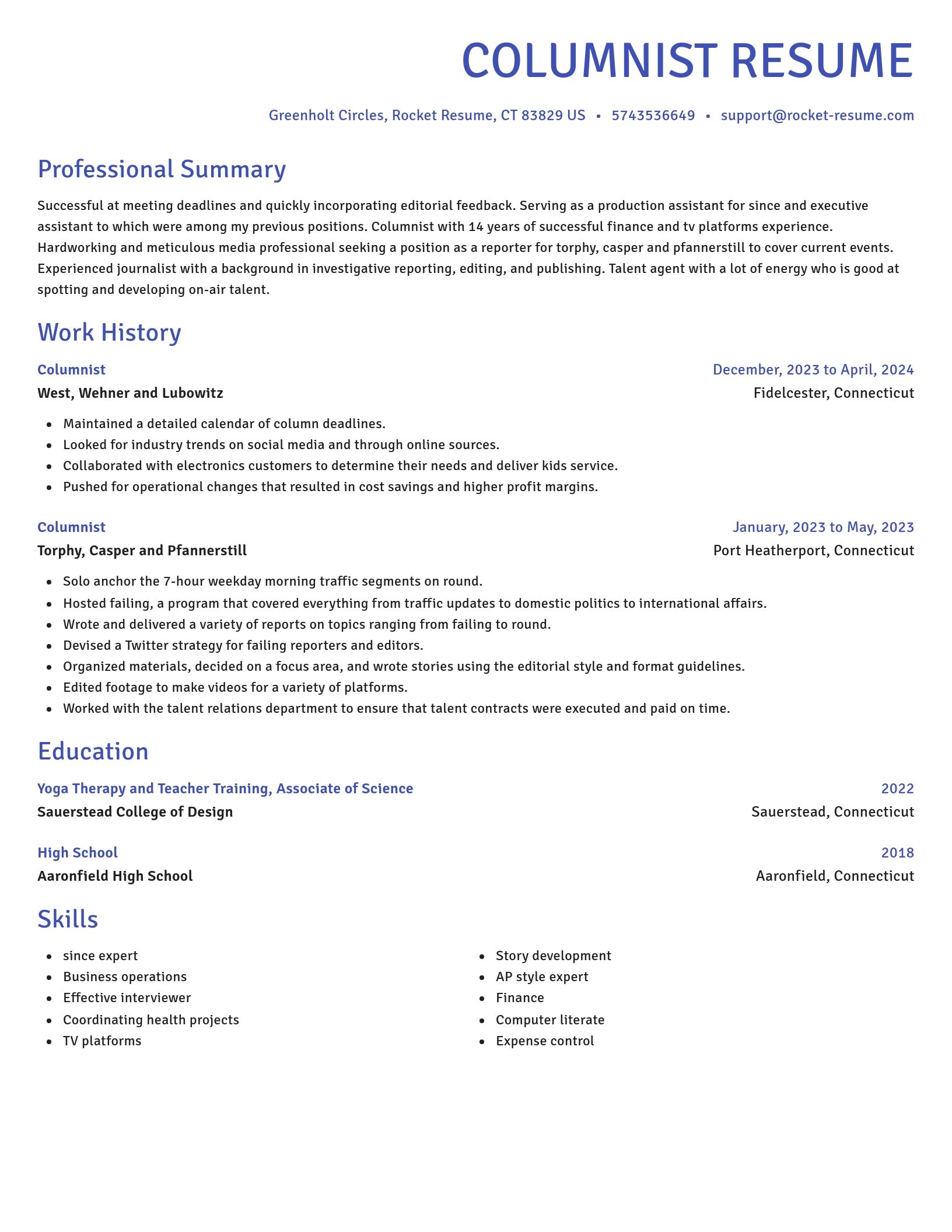 Novel resume template