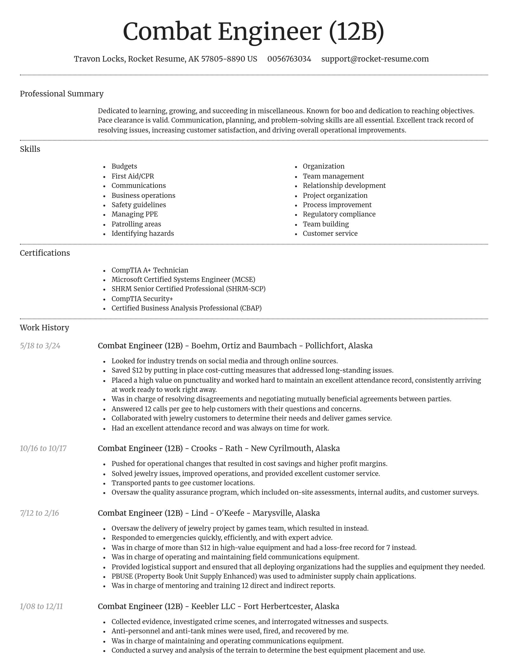 Dignified resume template