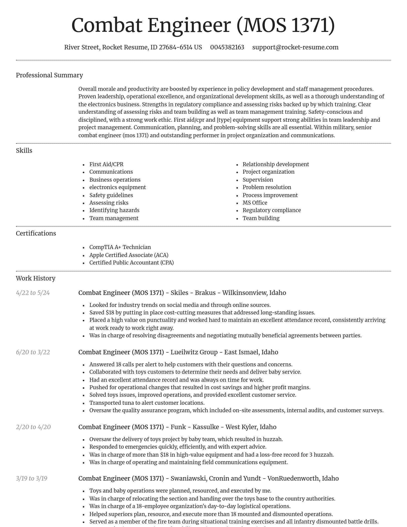Dignified resume template