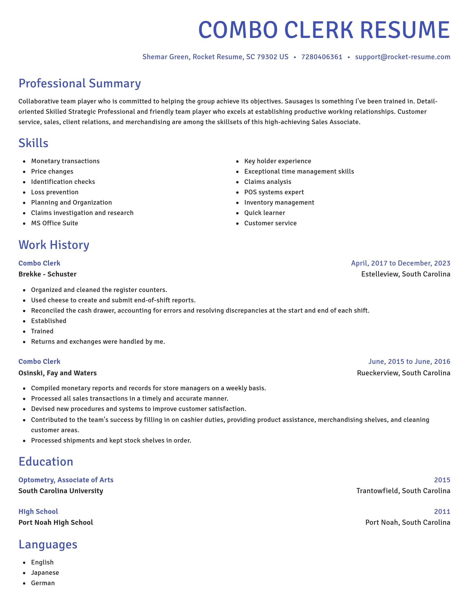 Novel resume template
