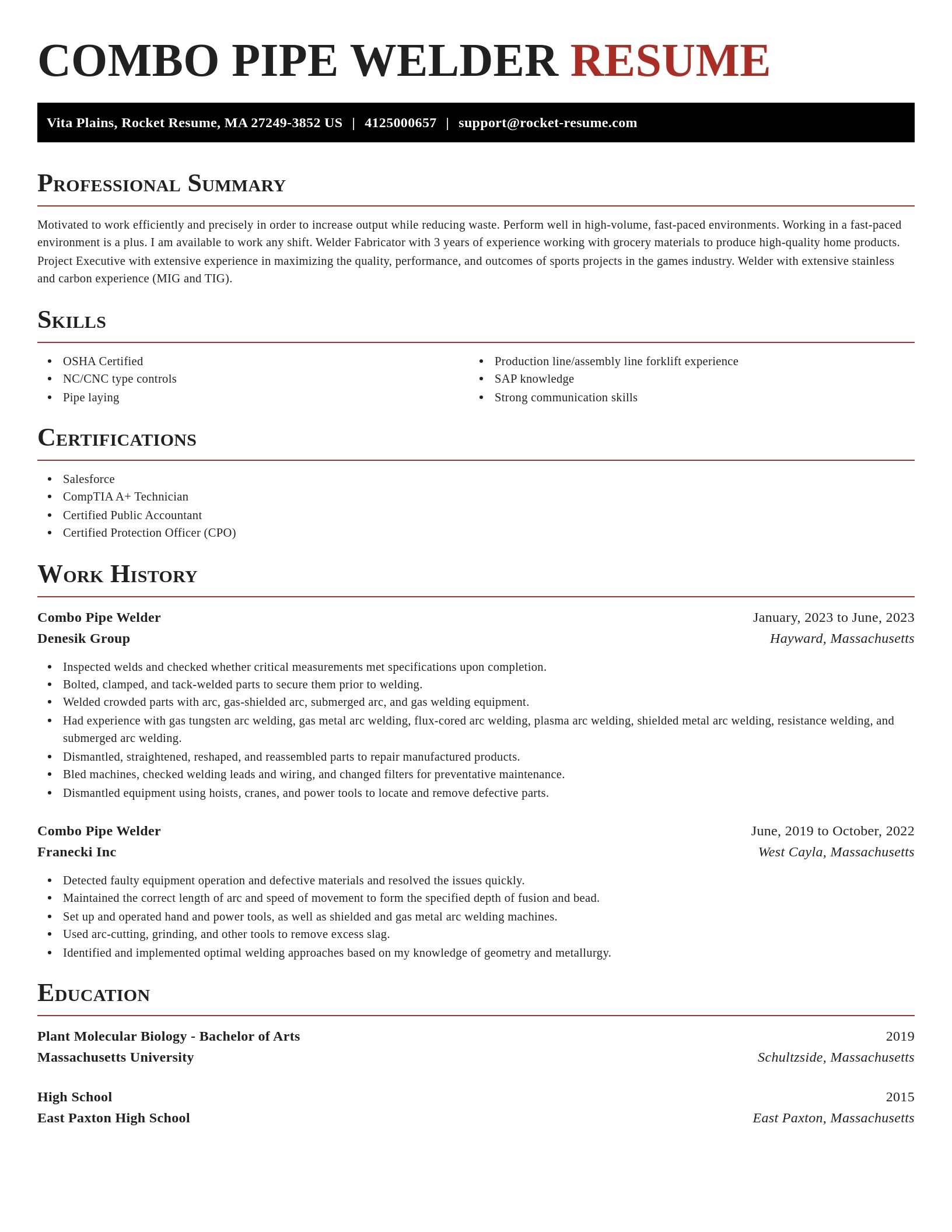 Exquisite resume template