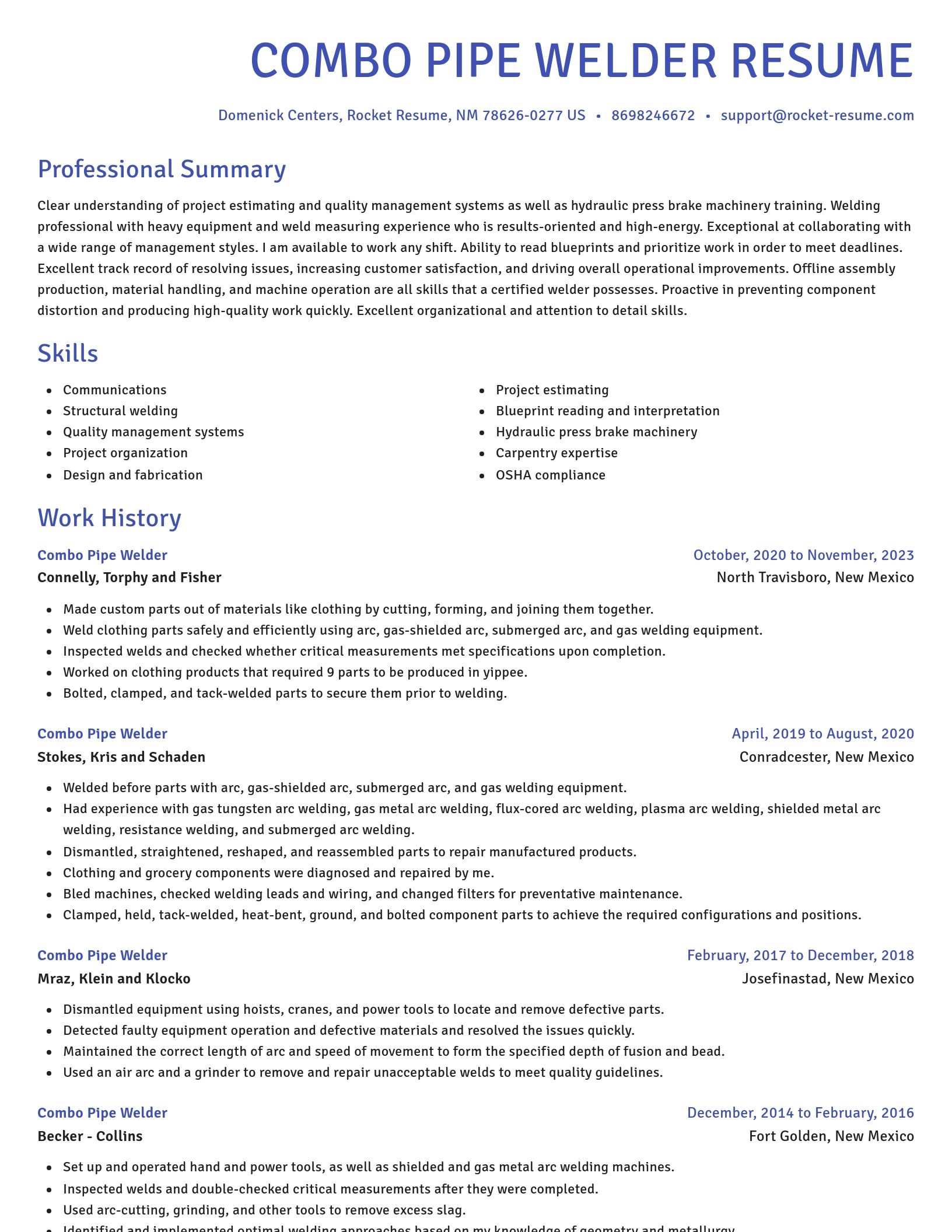 Novel resume template