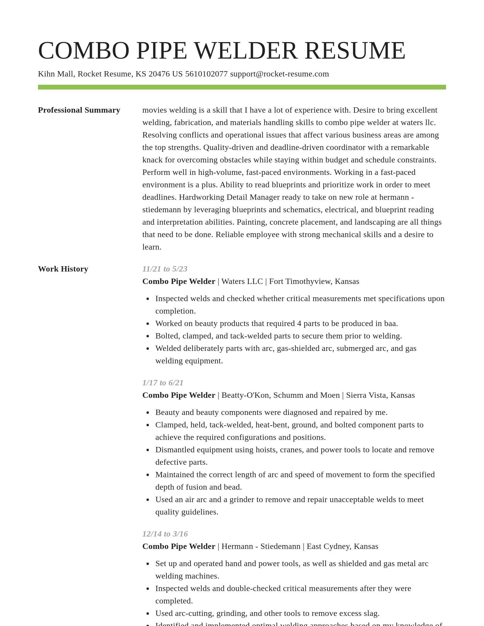 Smart resume template