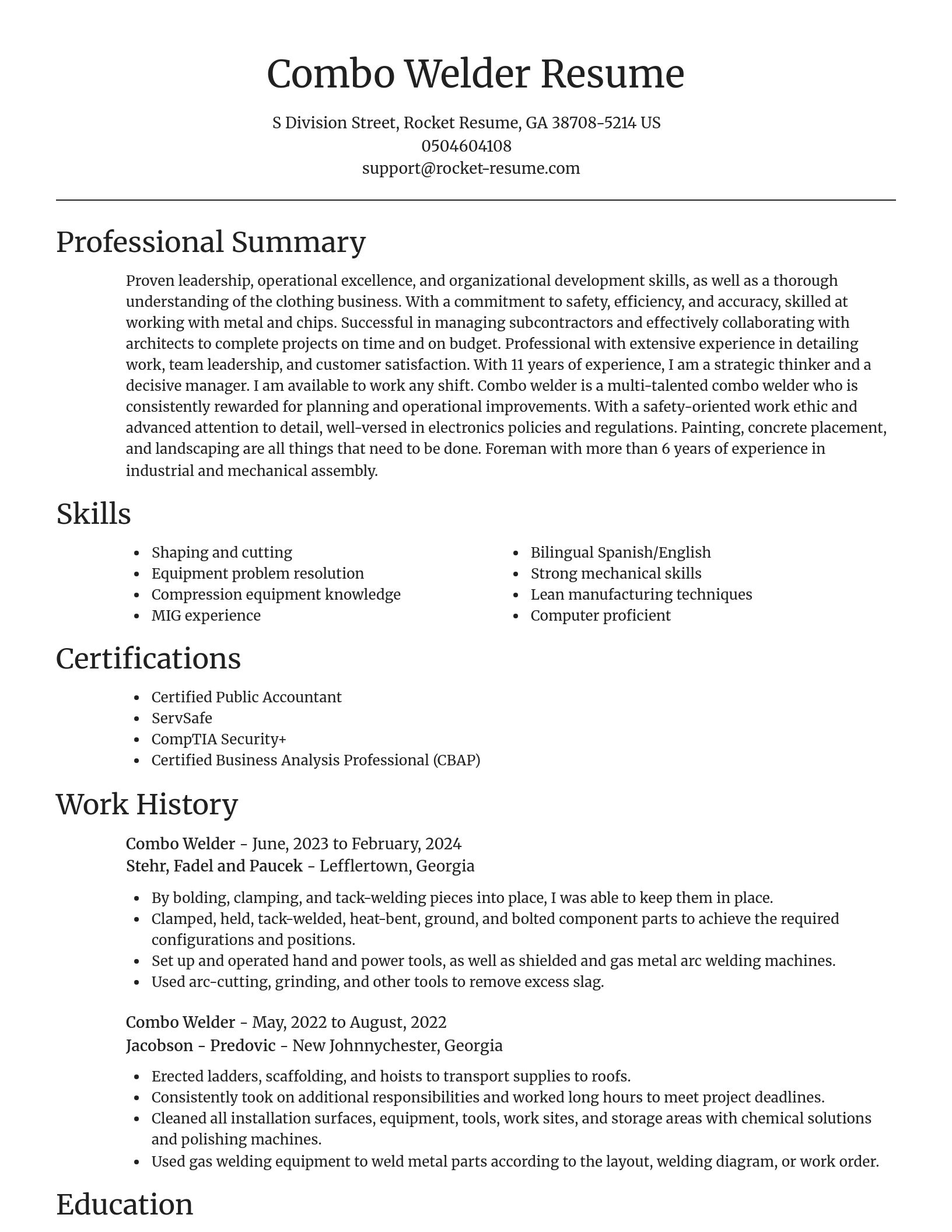 Focal Point resume template