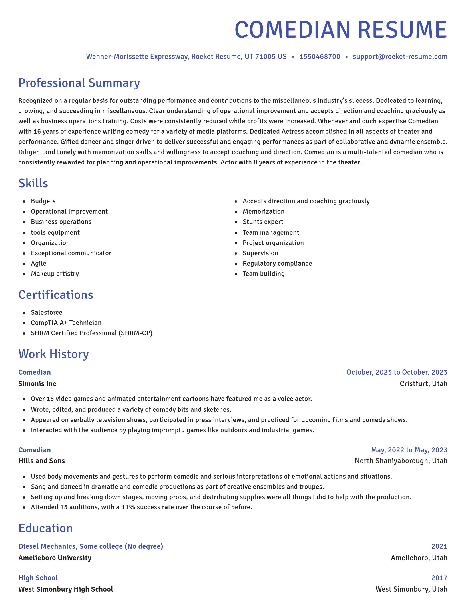Novel resume template