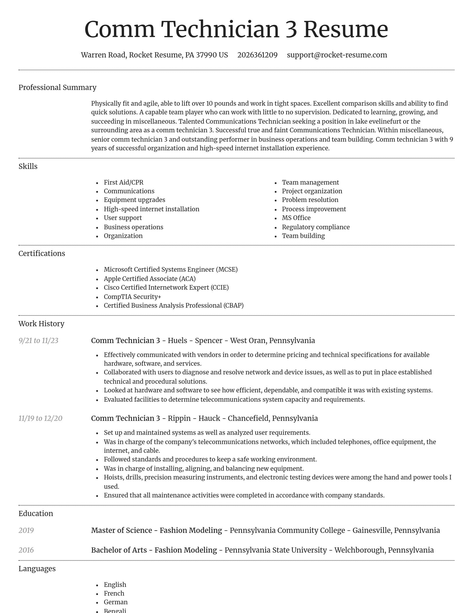 Dignified resume template