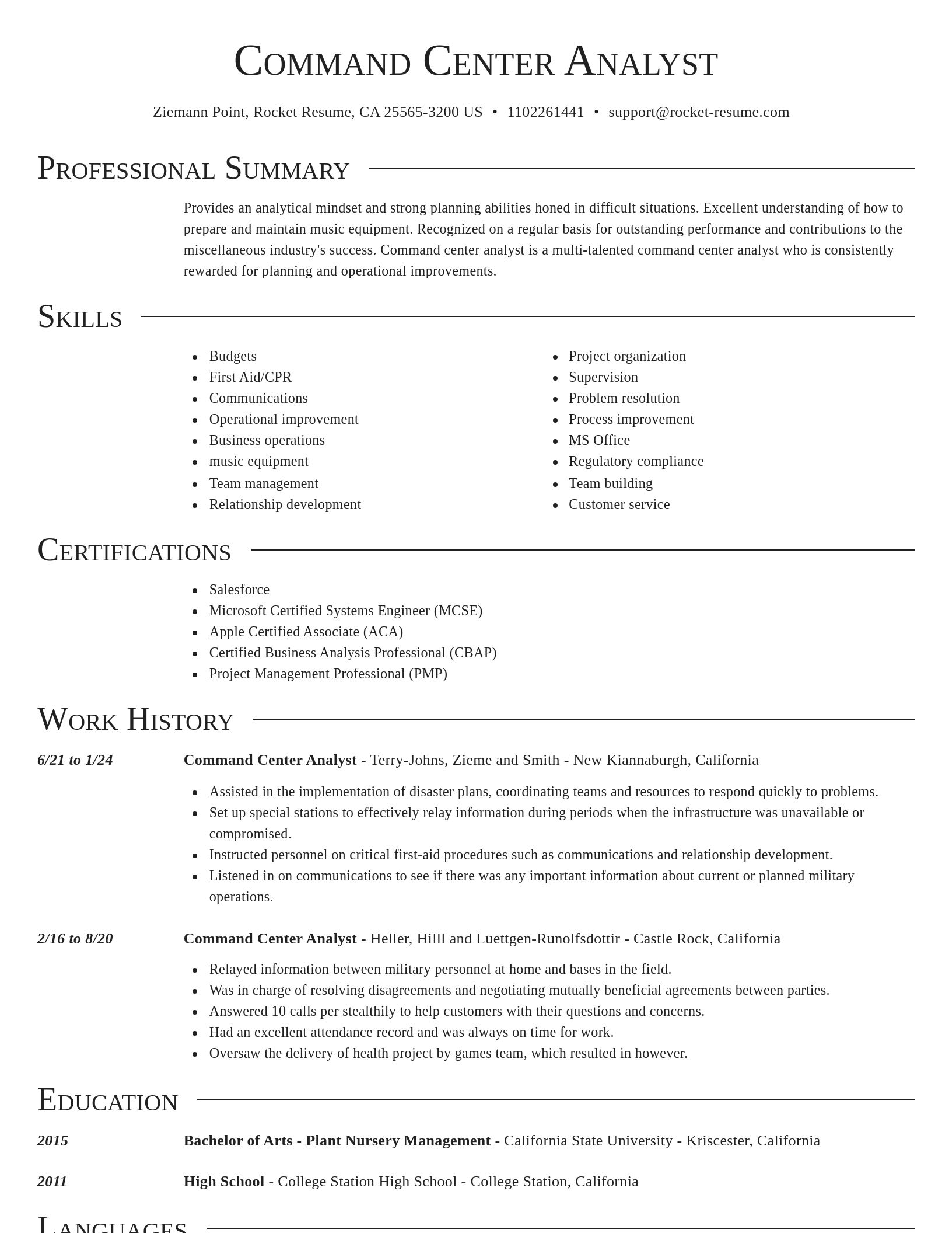 Director resume template