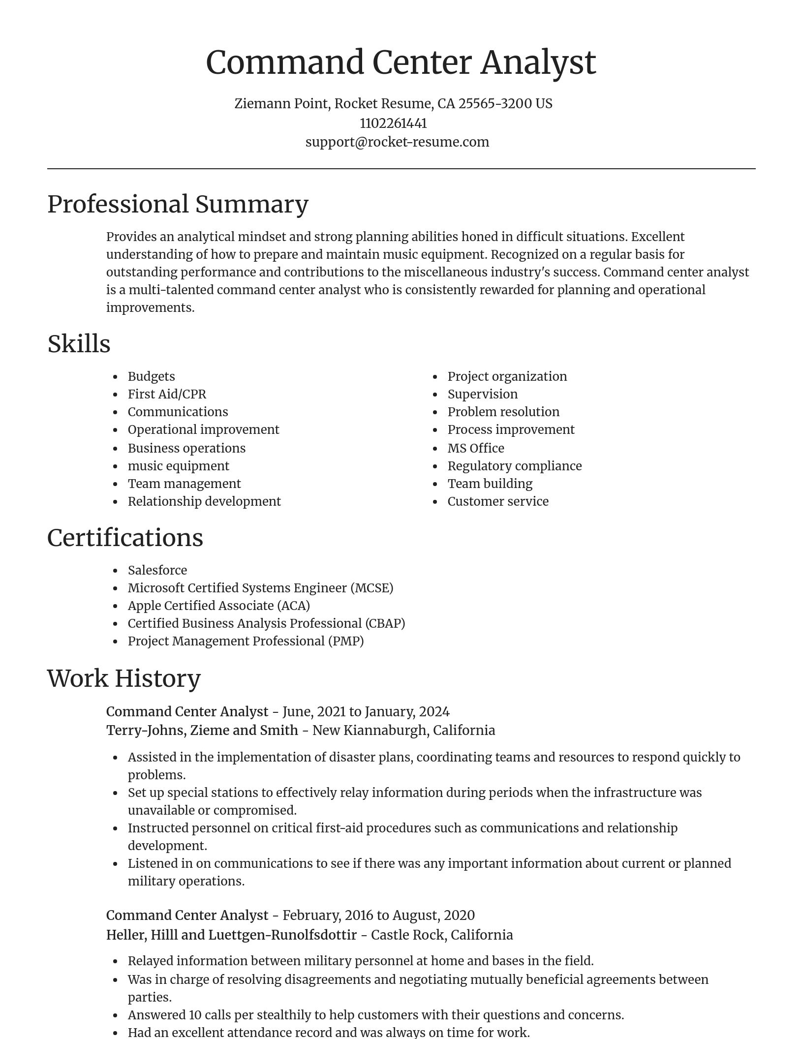 Focal Point resume template