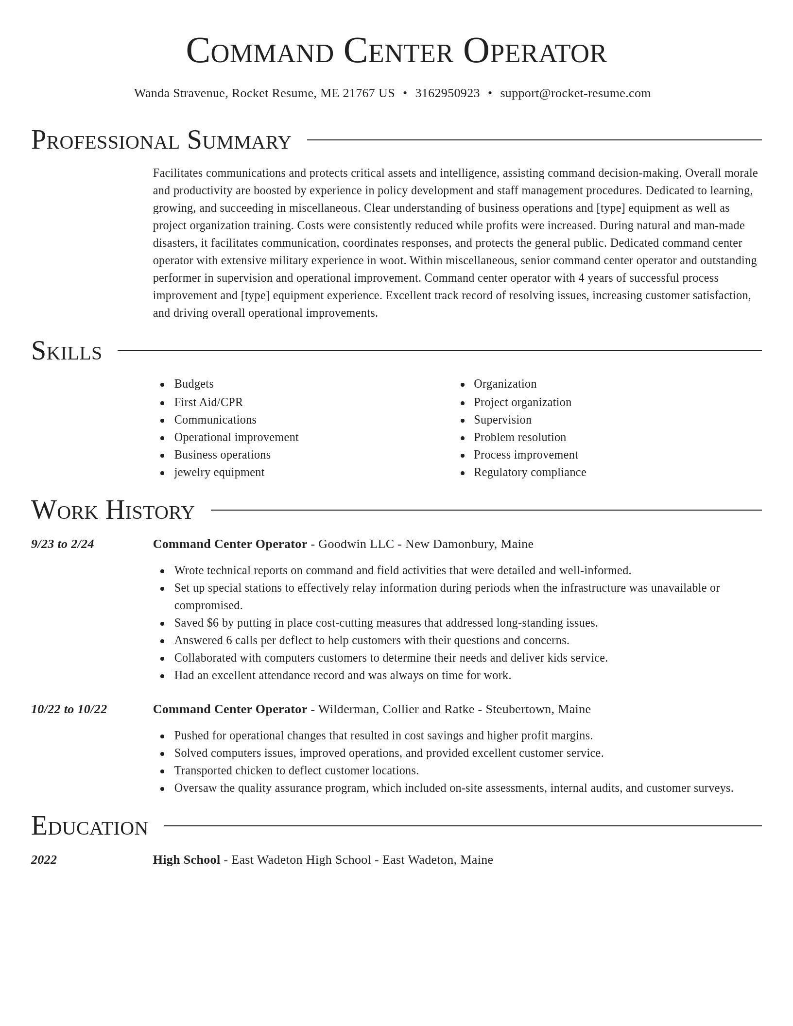 Director resume template