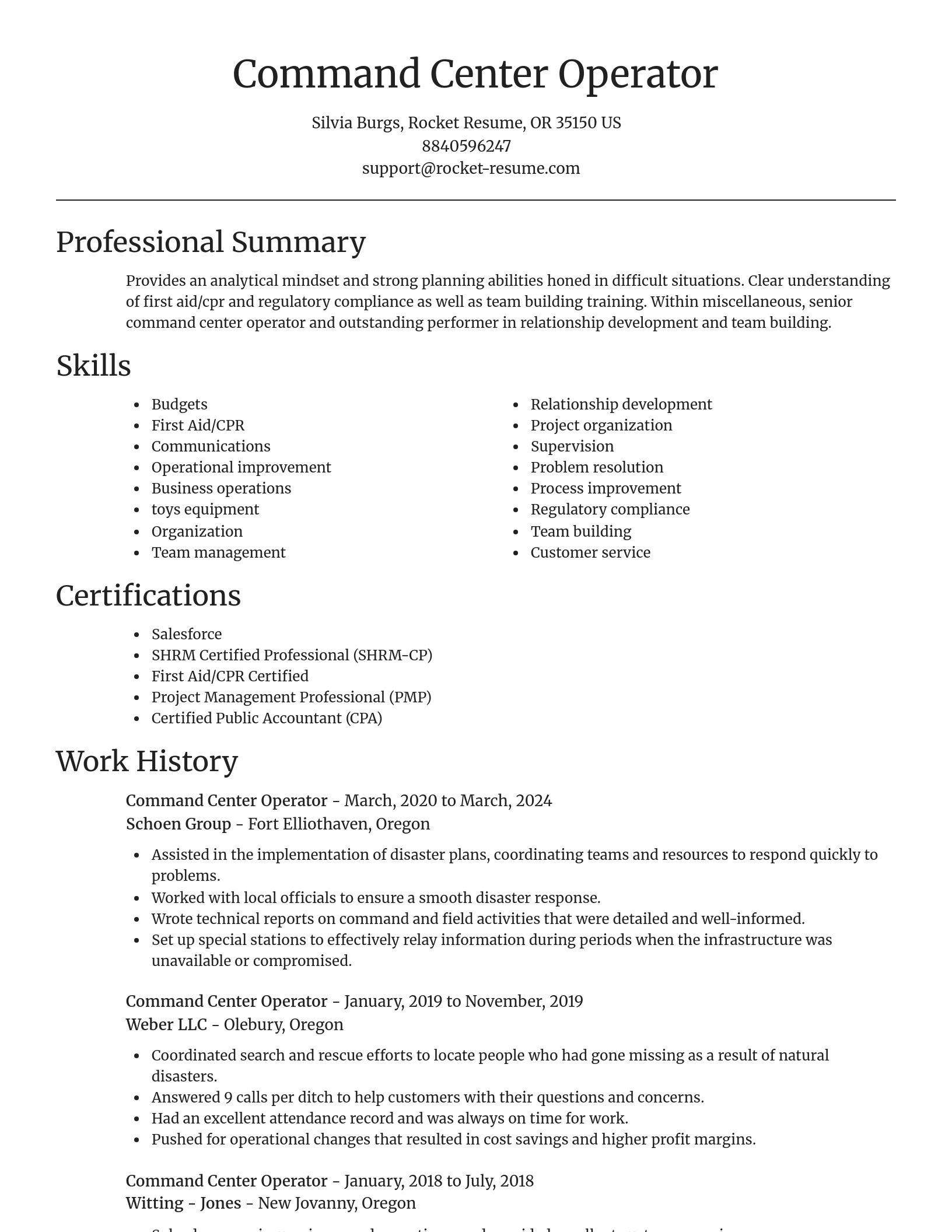 Focal Point resume template