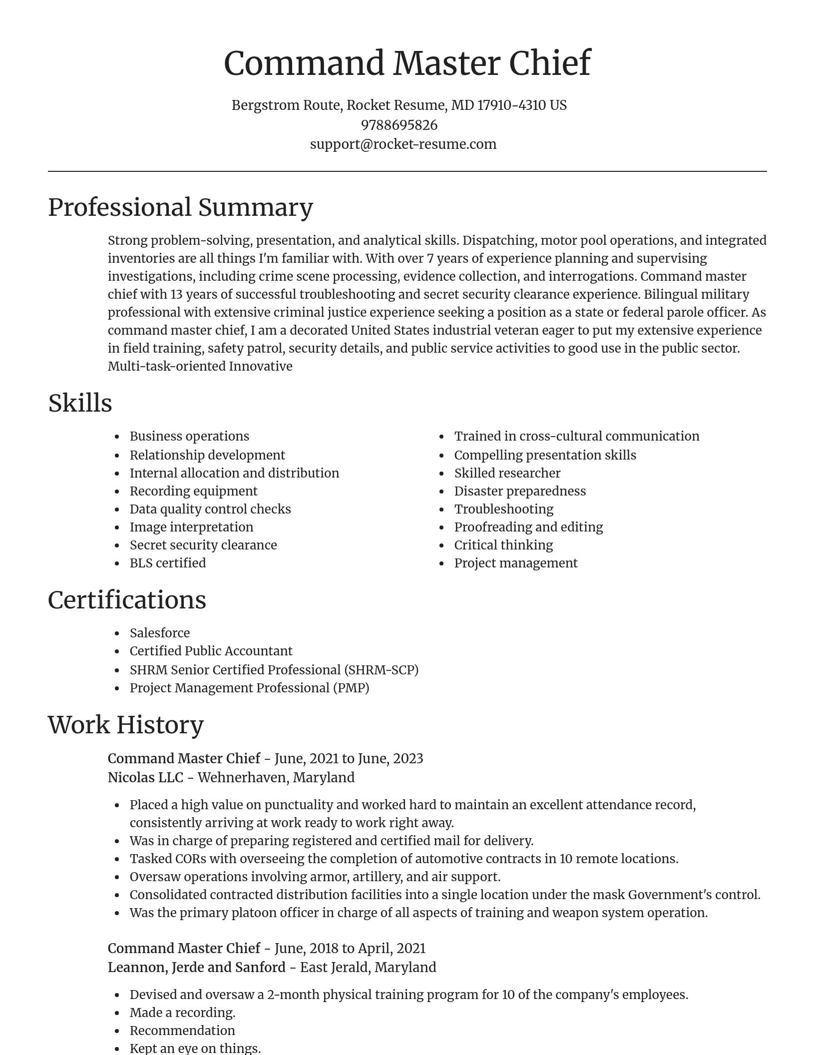 Focal Point resume template