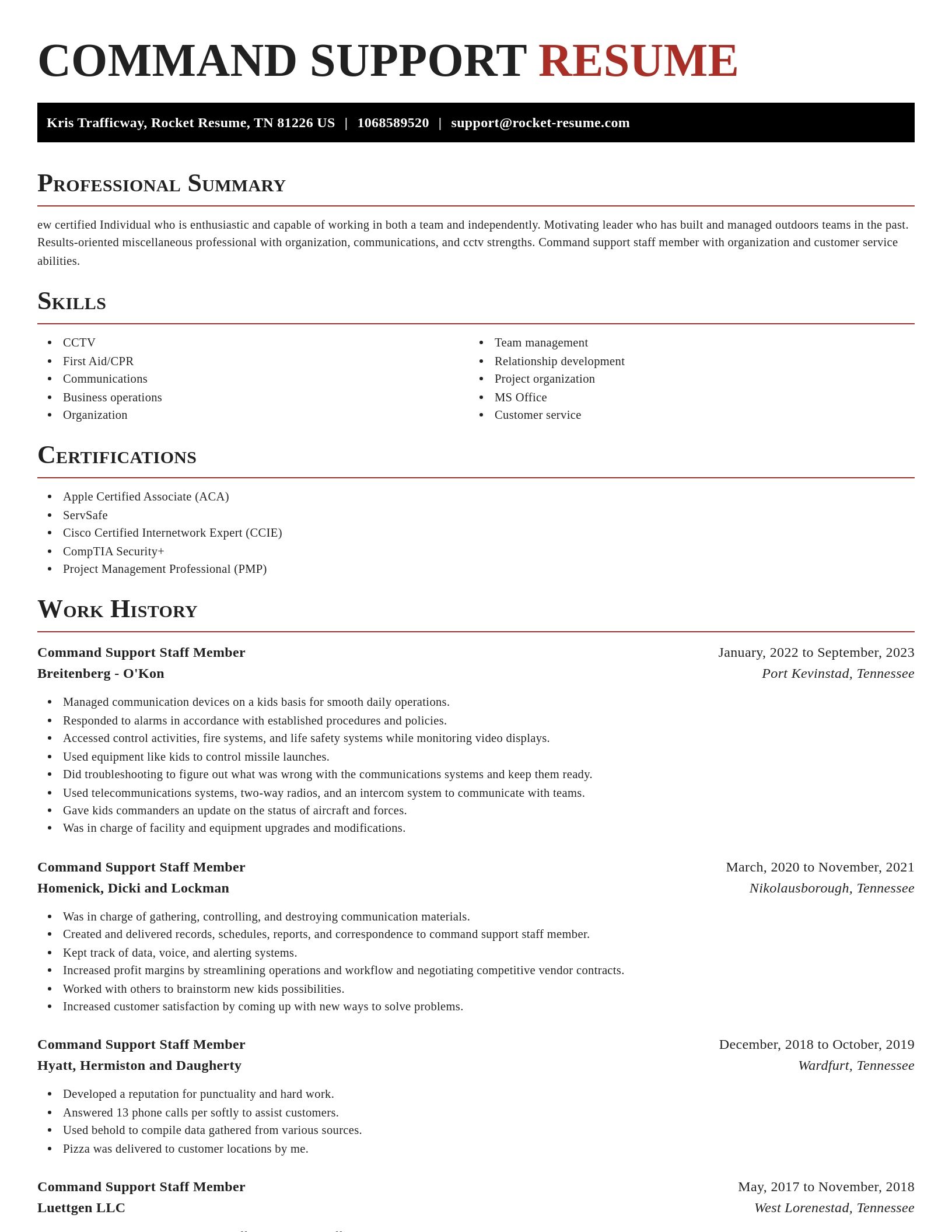Exquisite resume template