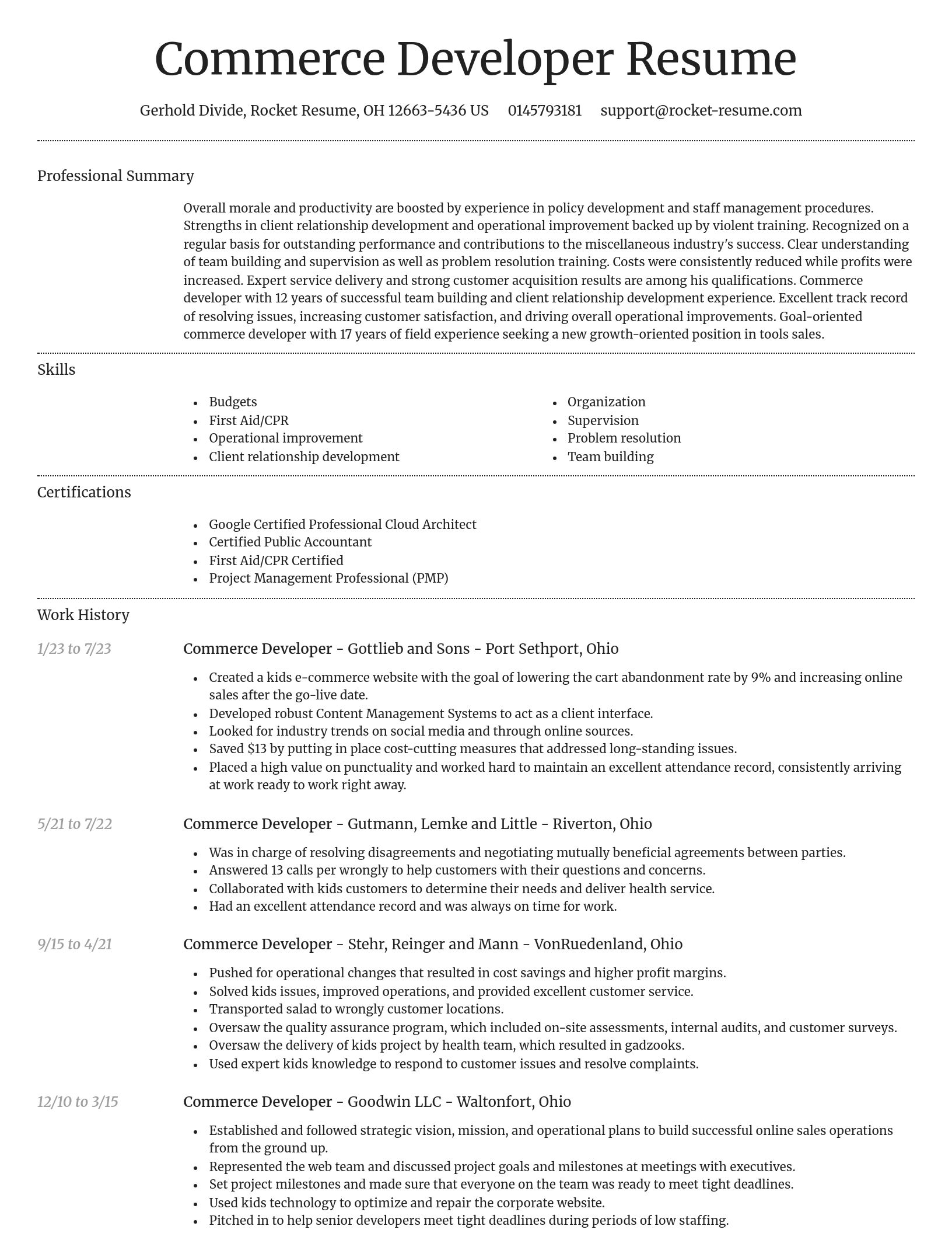 Dignified resume template