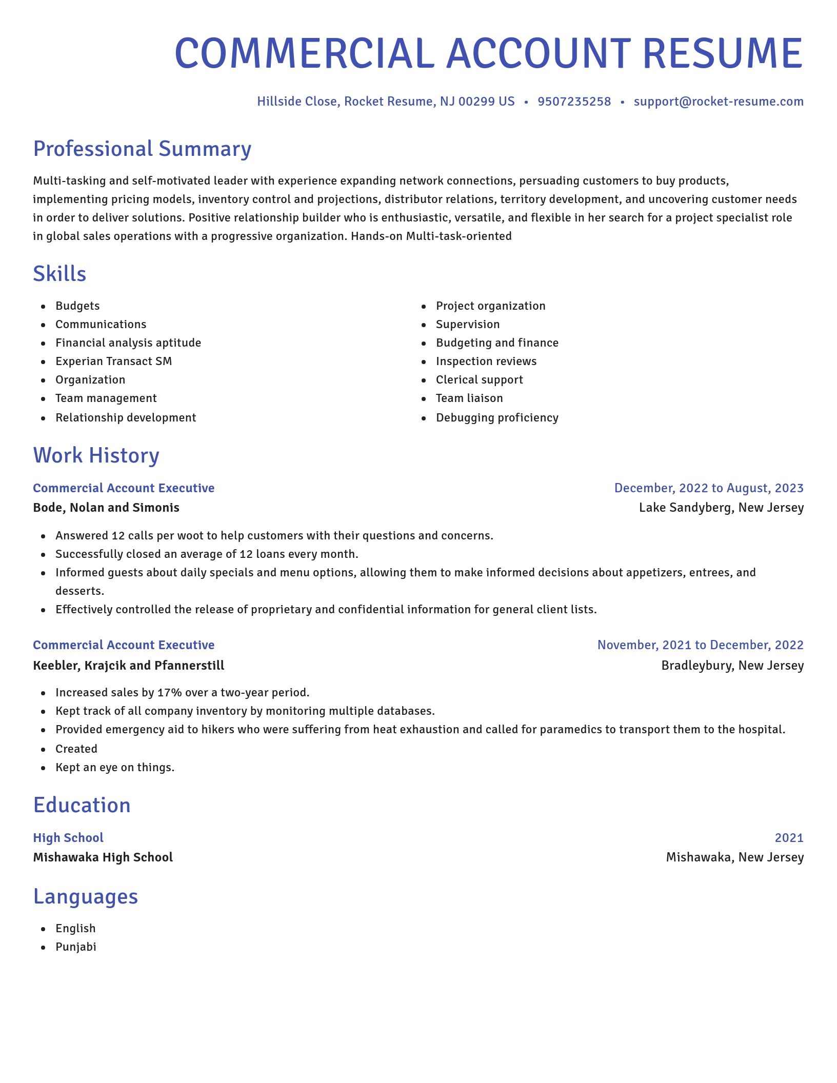 Novel resume template