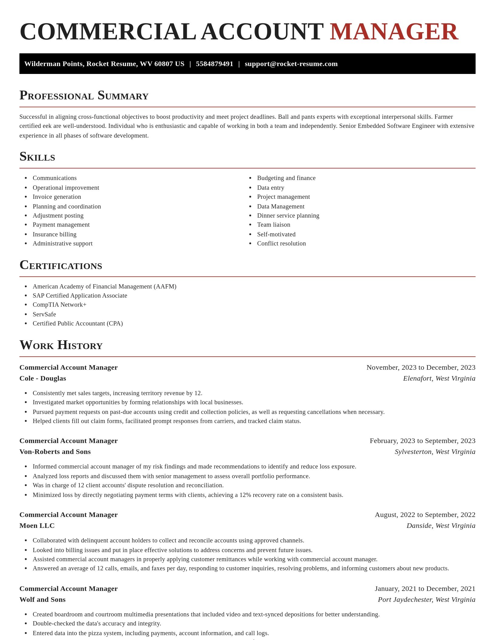 Exquisite resume template