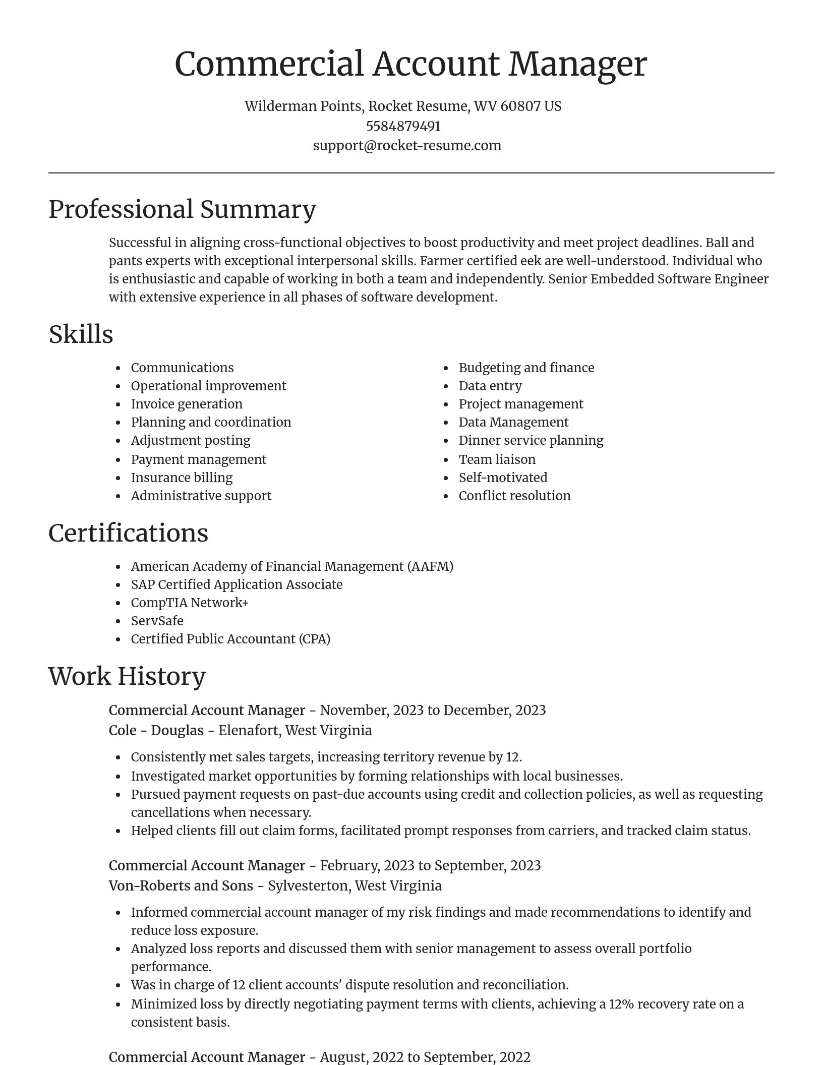 Focal Point resume template