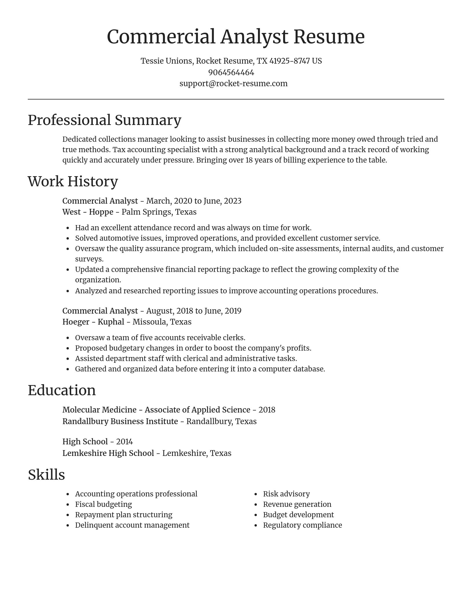 Focal Point resume template