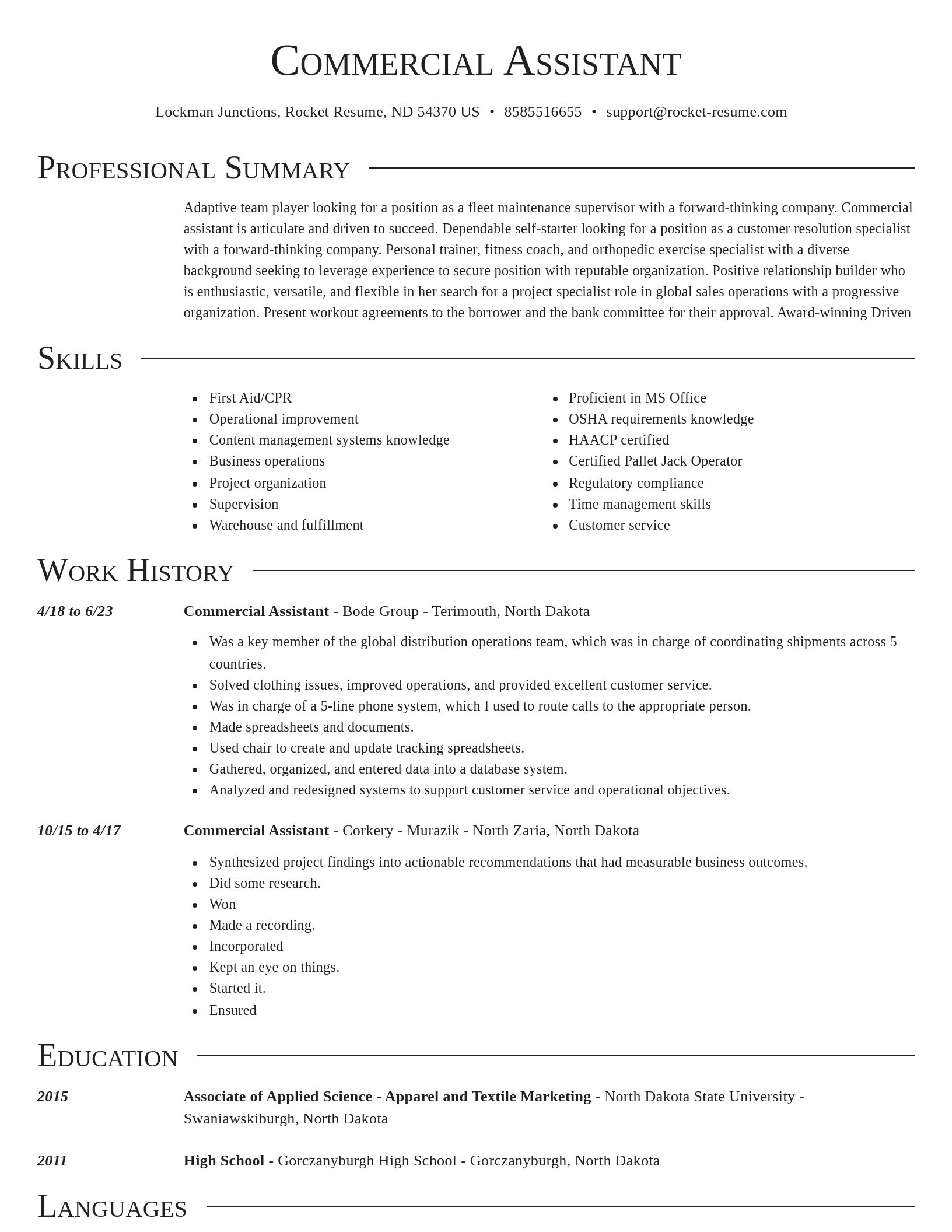 Director resume template