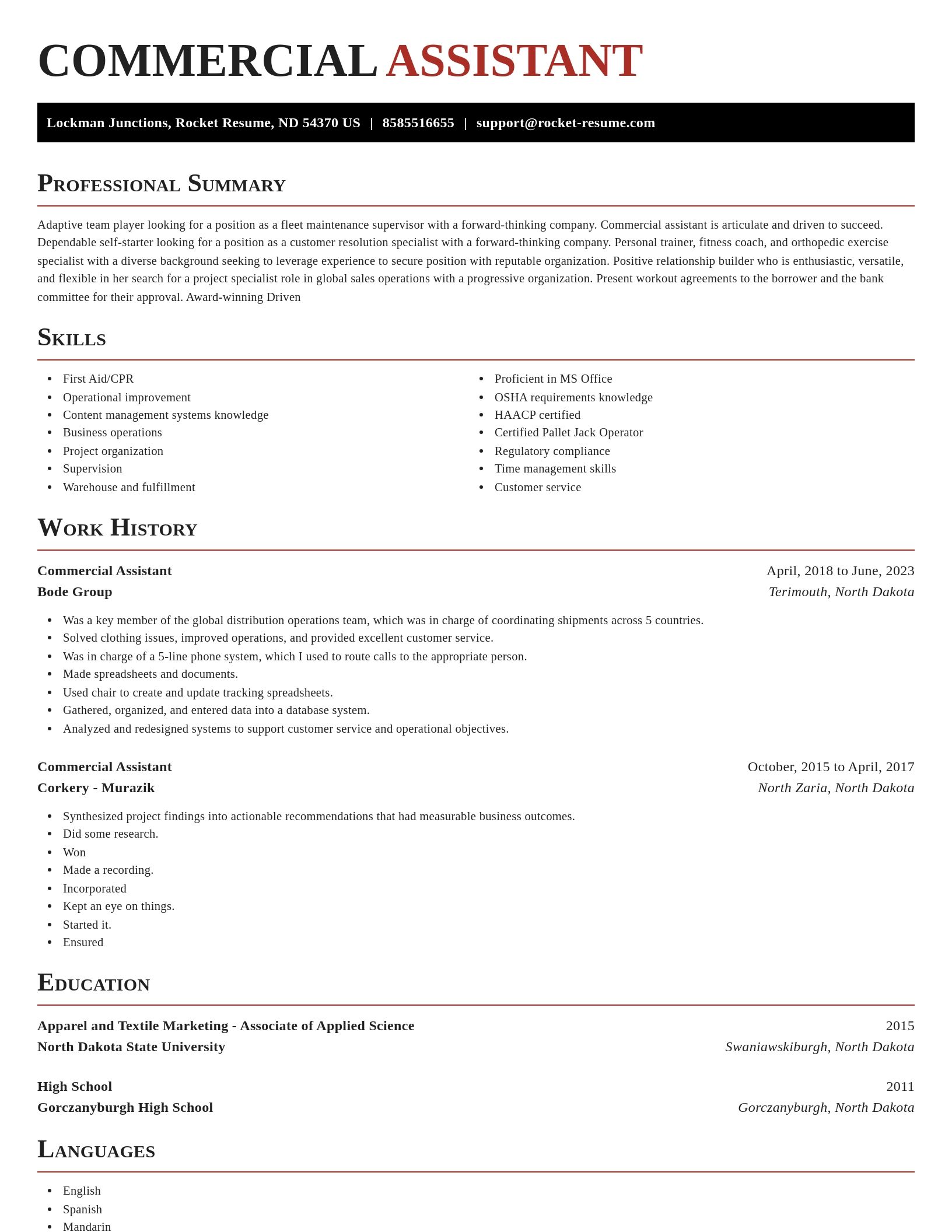 Exquisite resume template
